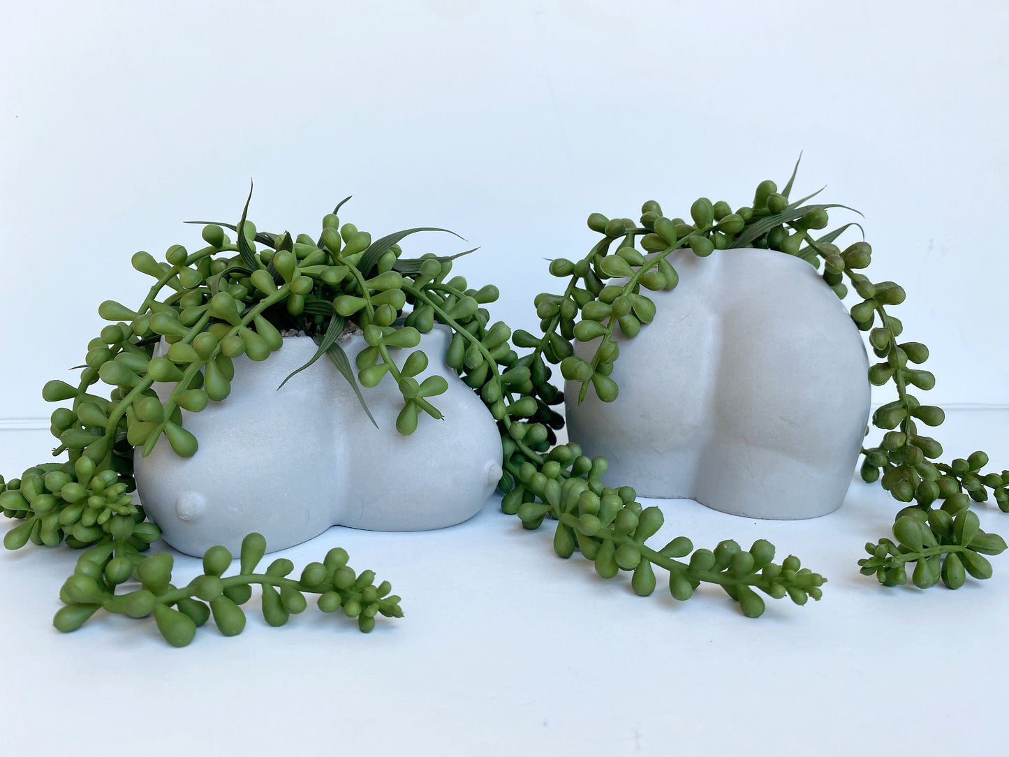 Cement Butt or Boob Pot with Faux Burro's Tail Succulent Hanging Plant