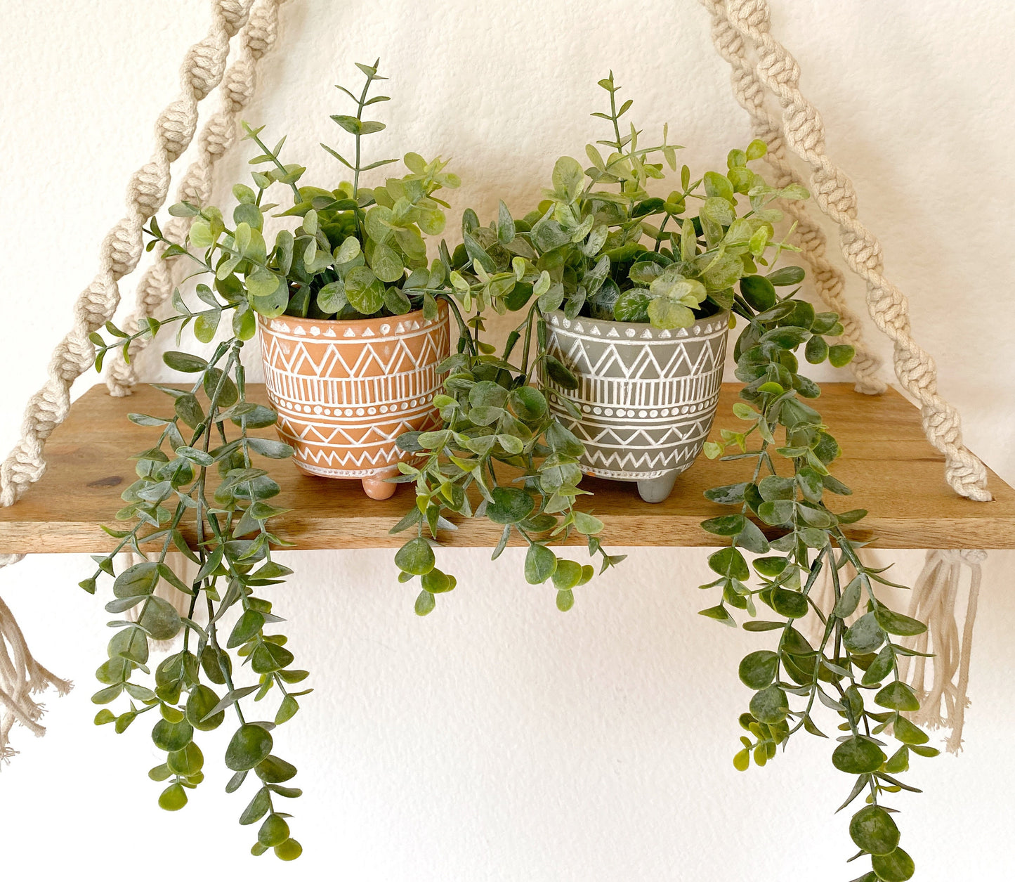 Artificial Eucalyptus Hanging Plant in textured Ceramic Pot