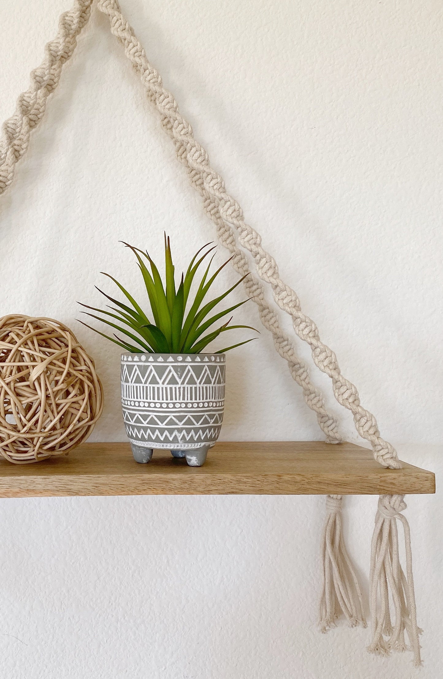 Artificial Succulent Plant in textured Ceramic Pot
