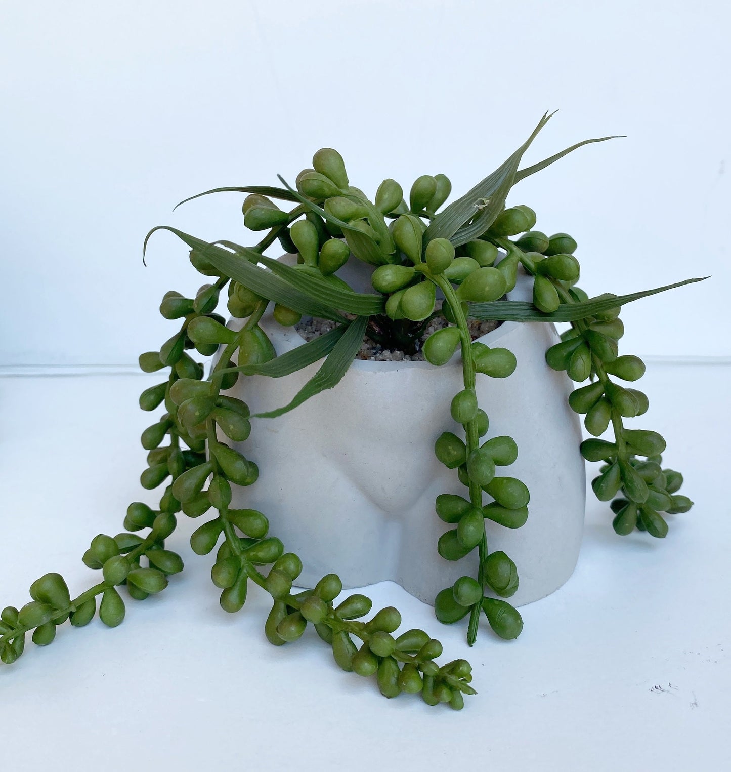 Cement Butt or Boob Pot with Faux Burro's Tail Succulent Hanging Plant