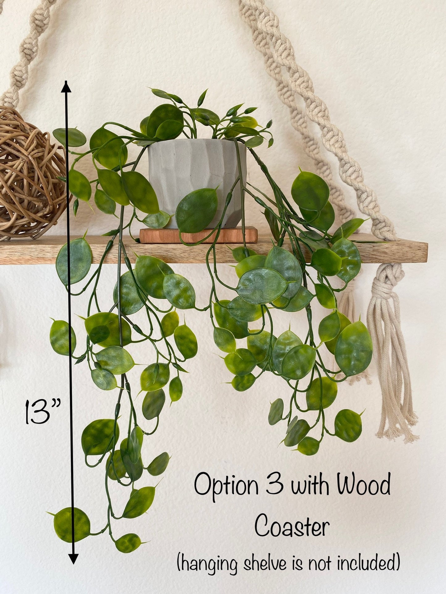 Hanging Faux Lunaria Plant in Handmade Concrete Pot
