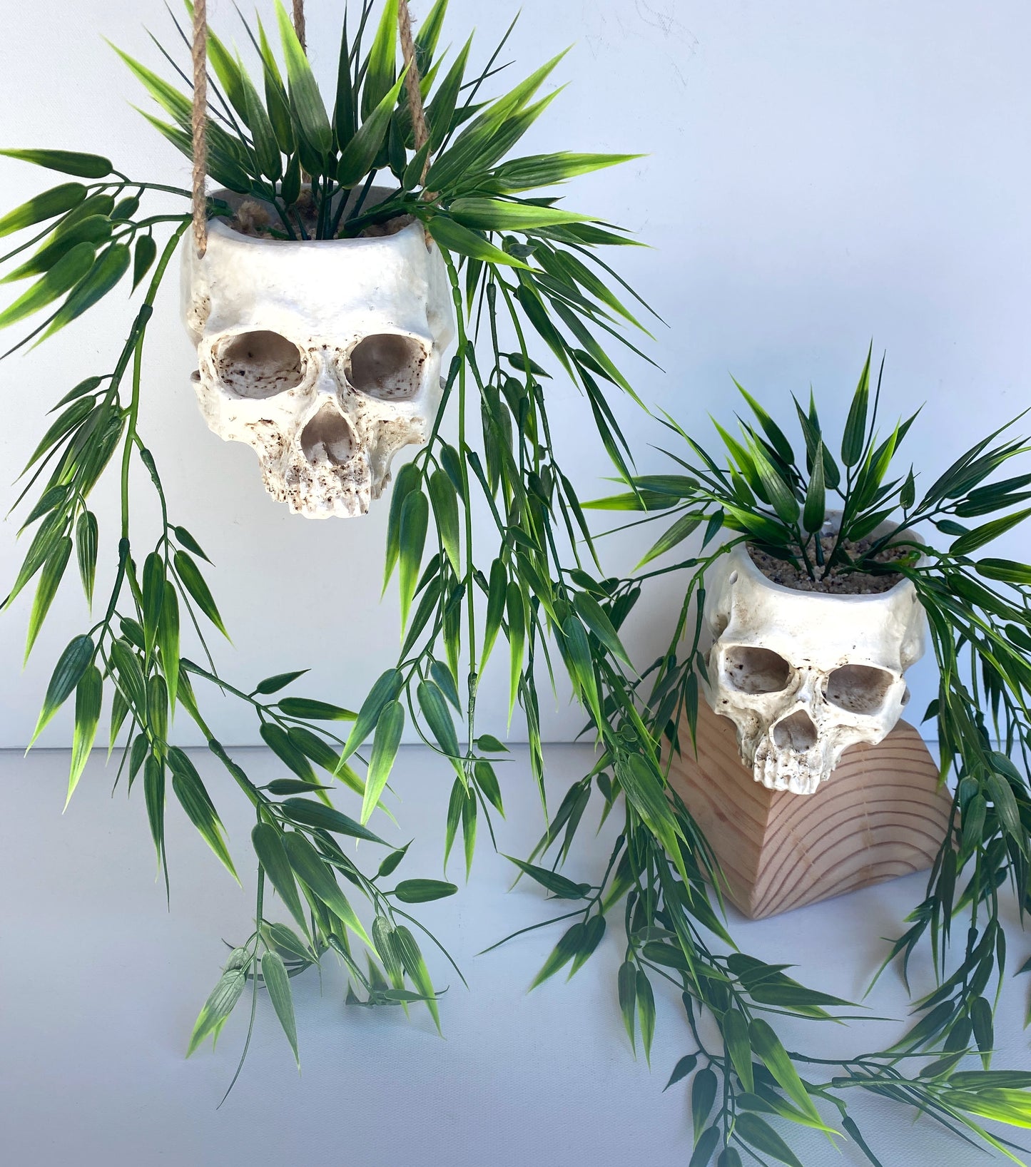 Skull Planter with Hanging Faux Plant - with Jute Twine or as Floating Shelve Decor