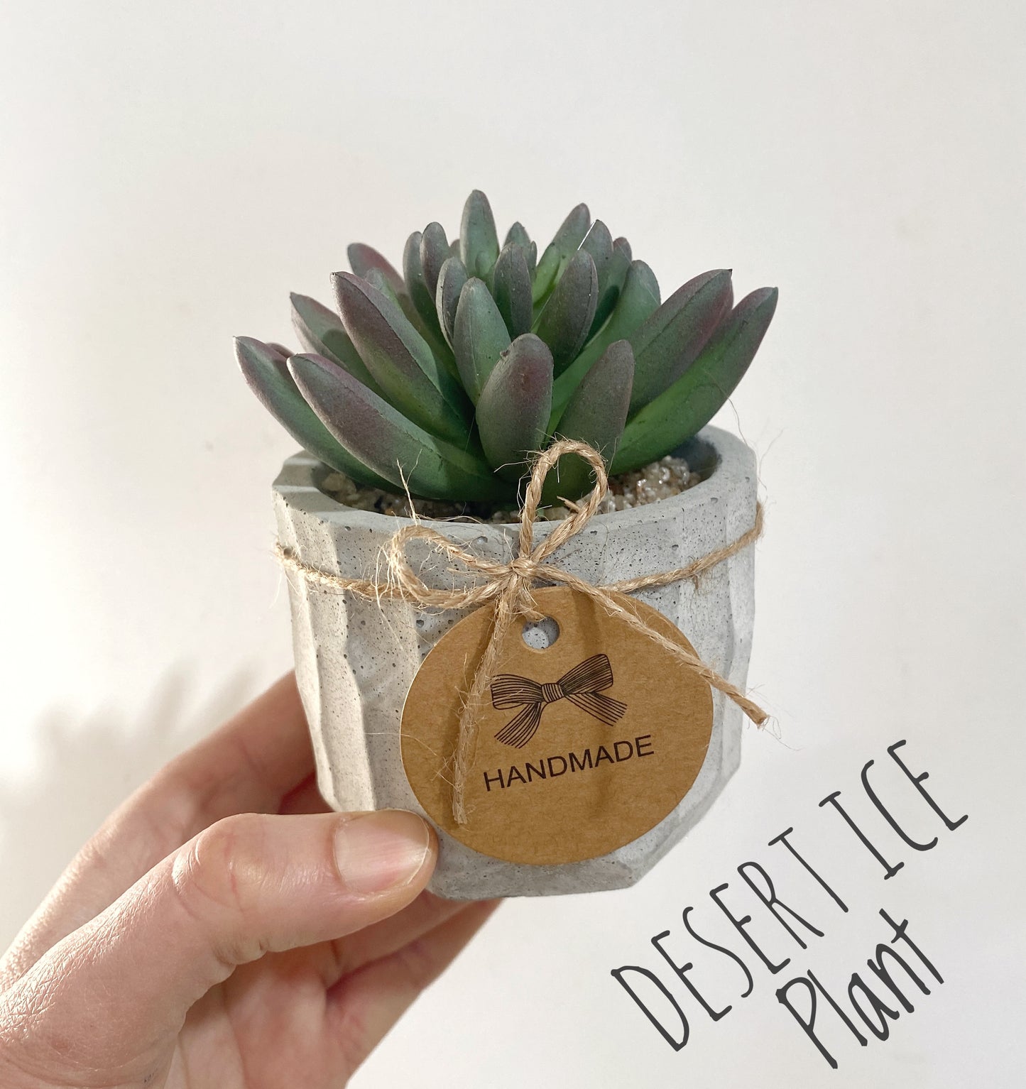 Faux Succulents in handmade Concrete Pot with Wood Tray - Air Plant, Ice Plant or Cactus Pine, High Quality Artificial Plants