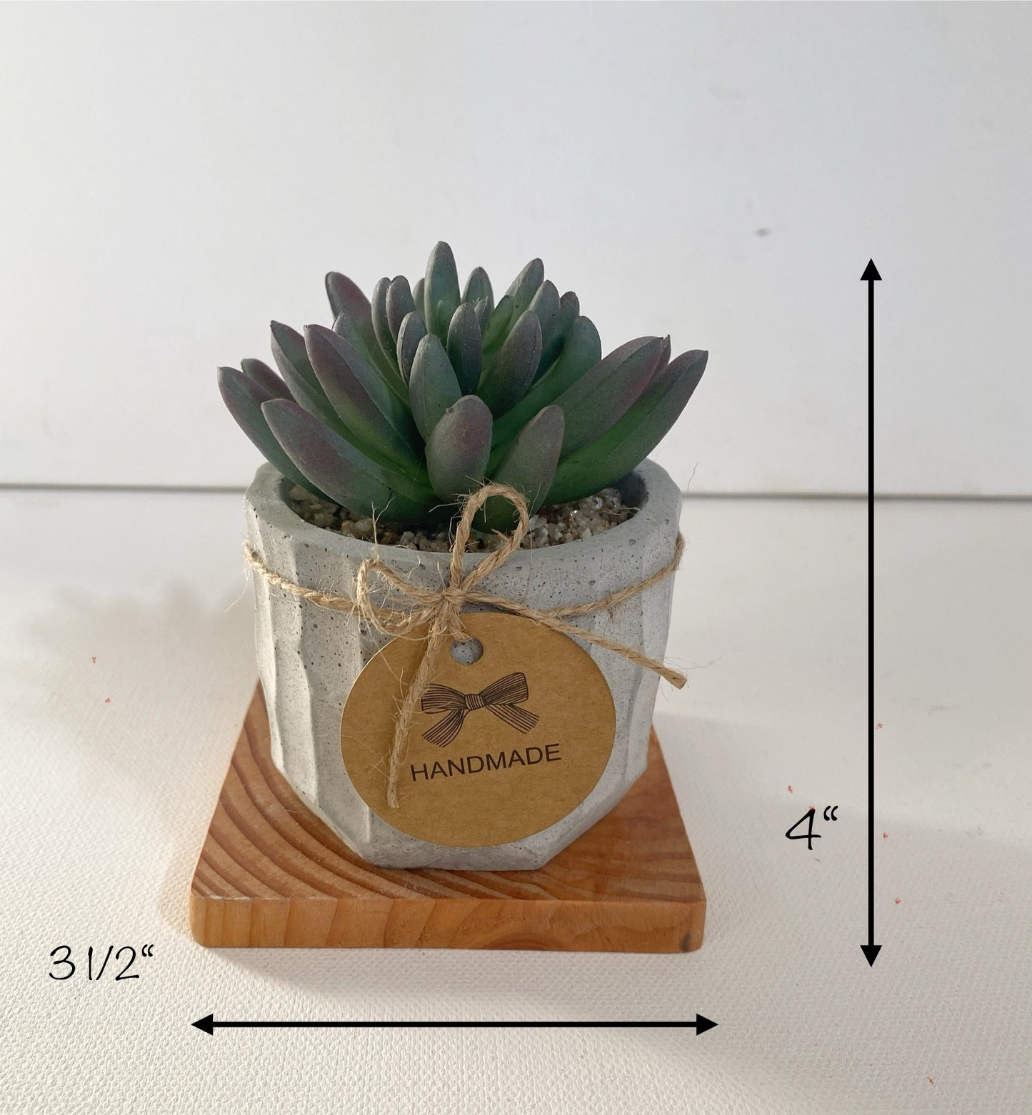 Faux Succulents in handmade Concrete Pot with Wood Tray - Air Plant, Ice Plant or Cactus Pine, High Quality Artificial Plants