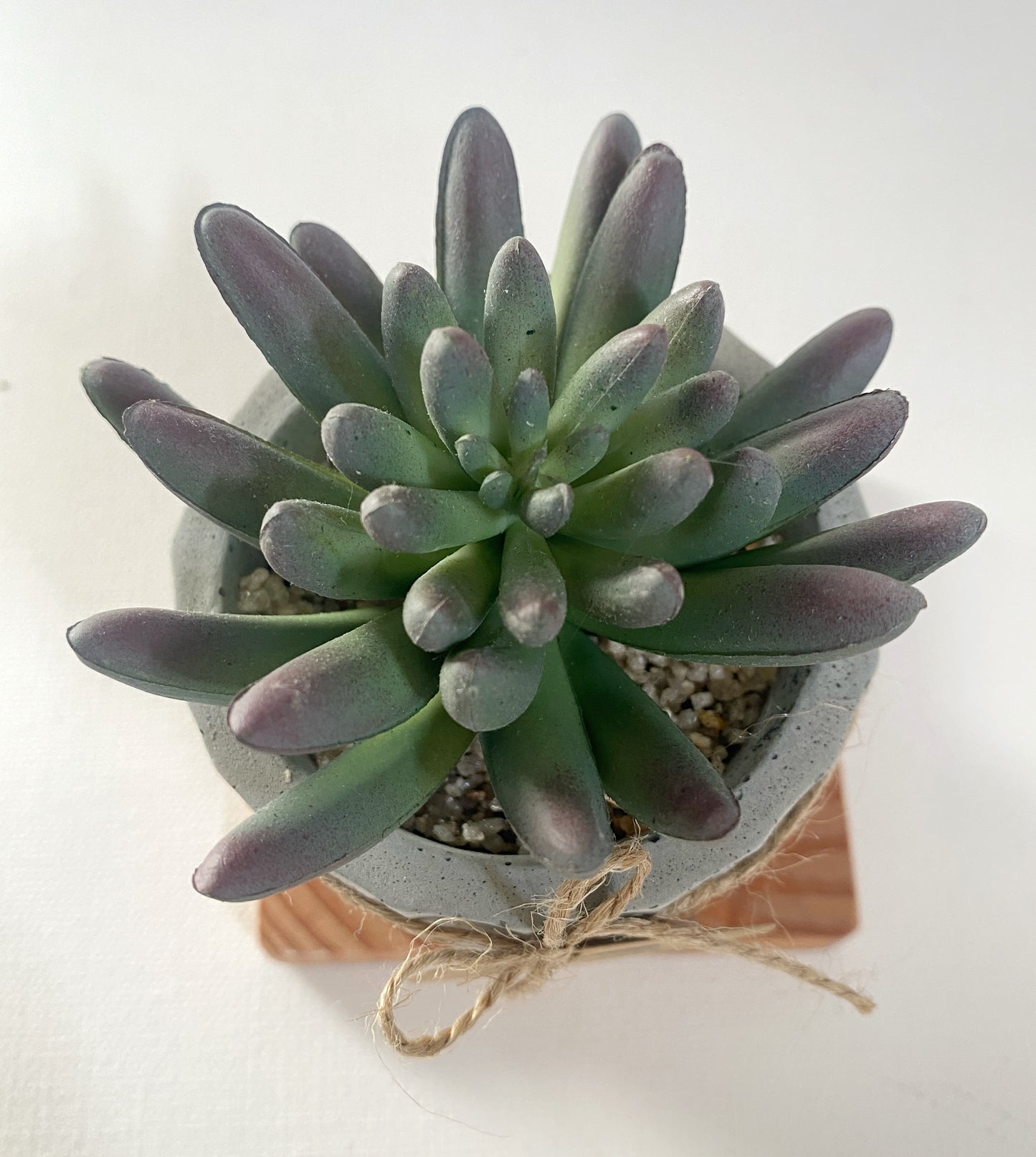 Faux Succulents in handmade Concrete Pot with Wood Tray - Air Plant, Ice Plant or Cactus Pine, High Quality Artificial Plants