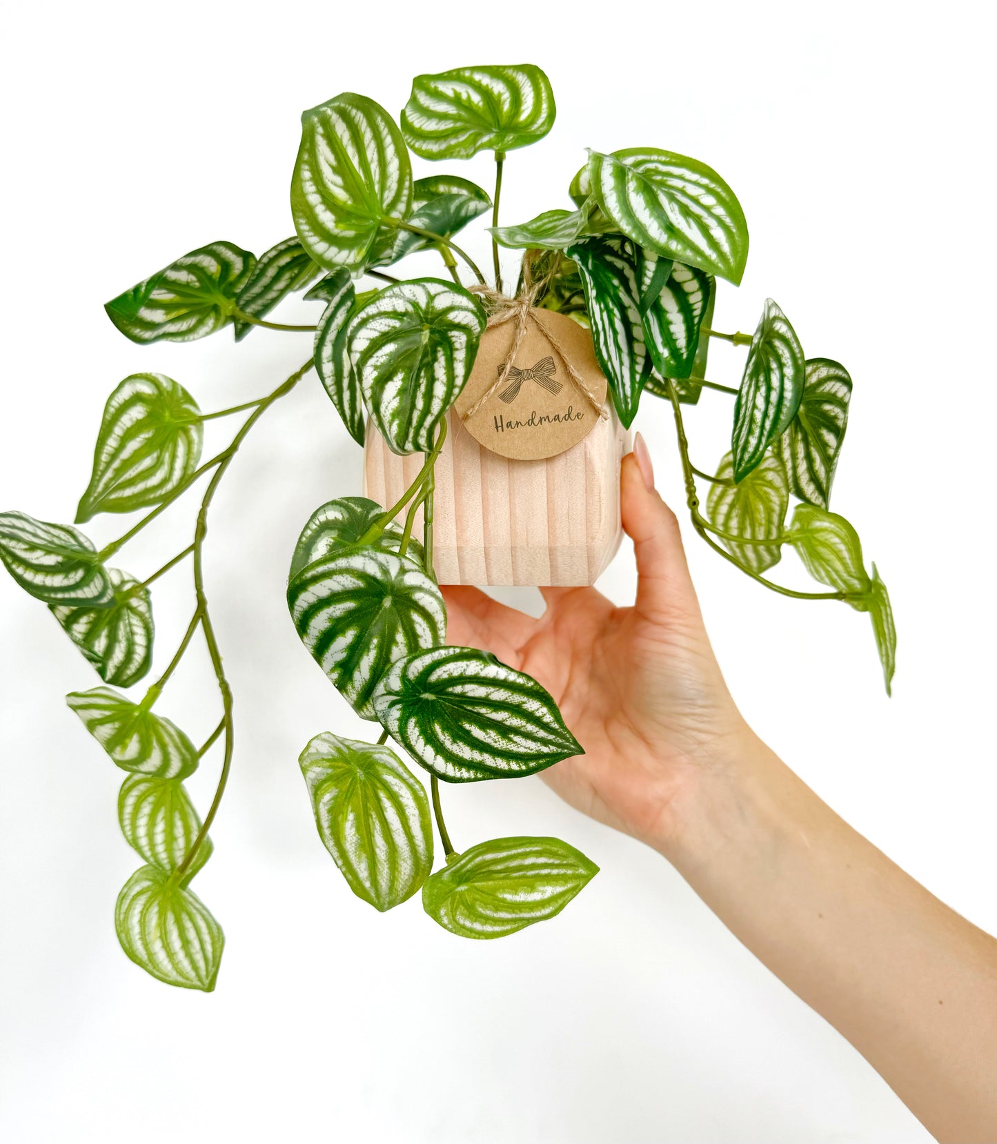 Faux Watermelon Peperomia Hanging Plant in Handmade Wood Pot