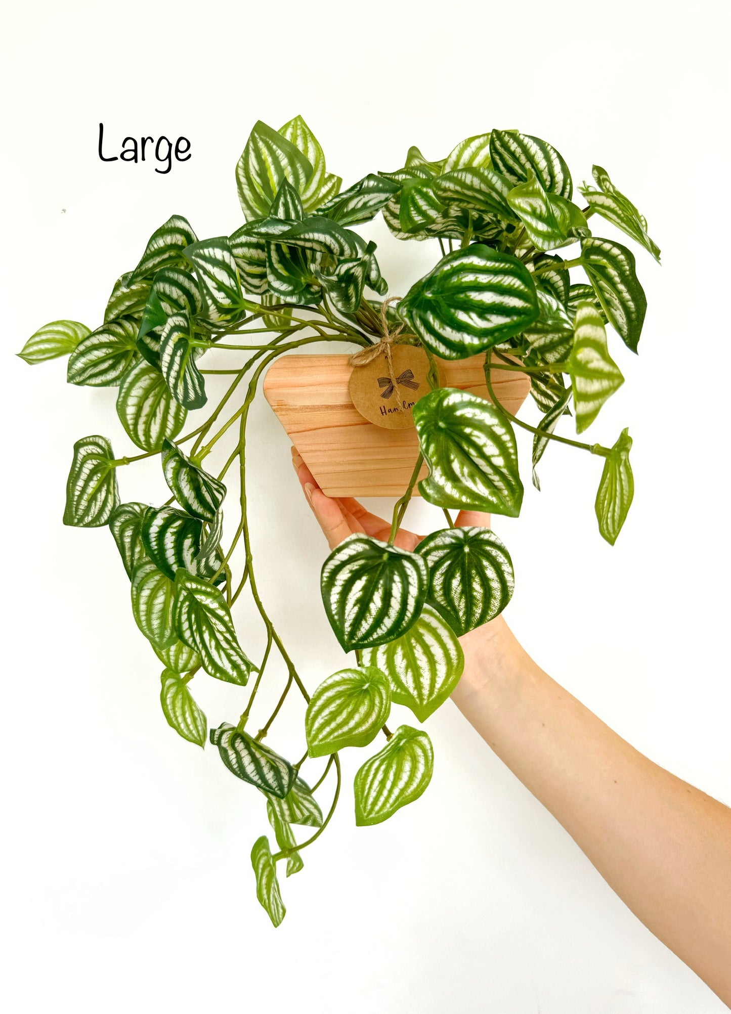 Faux Watermelon Peperomia Hanging Plant in Handmade Wood Pot