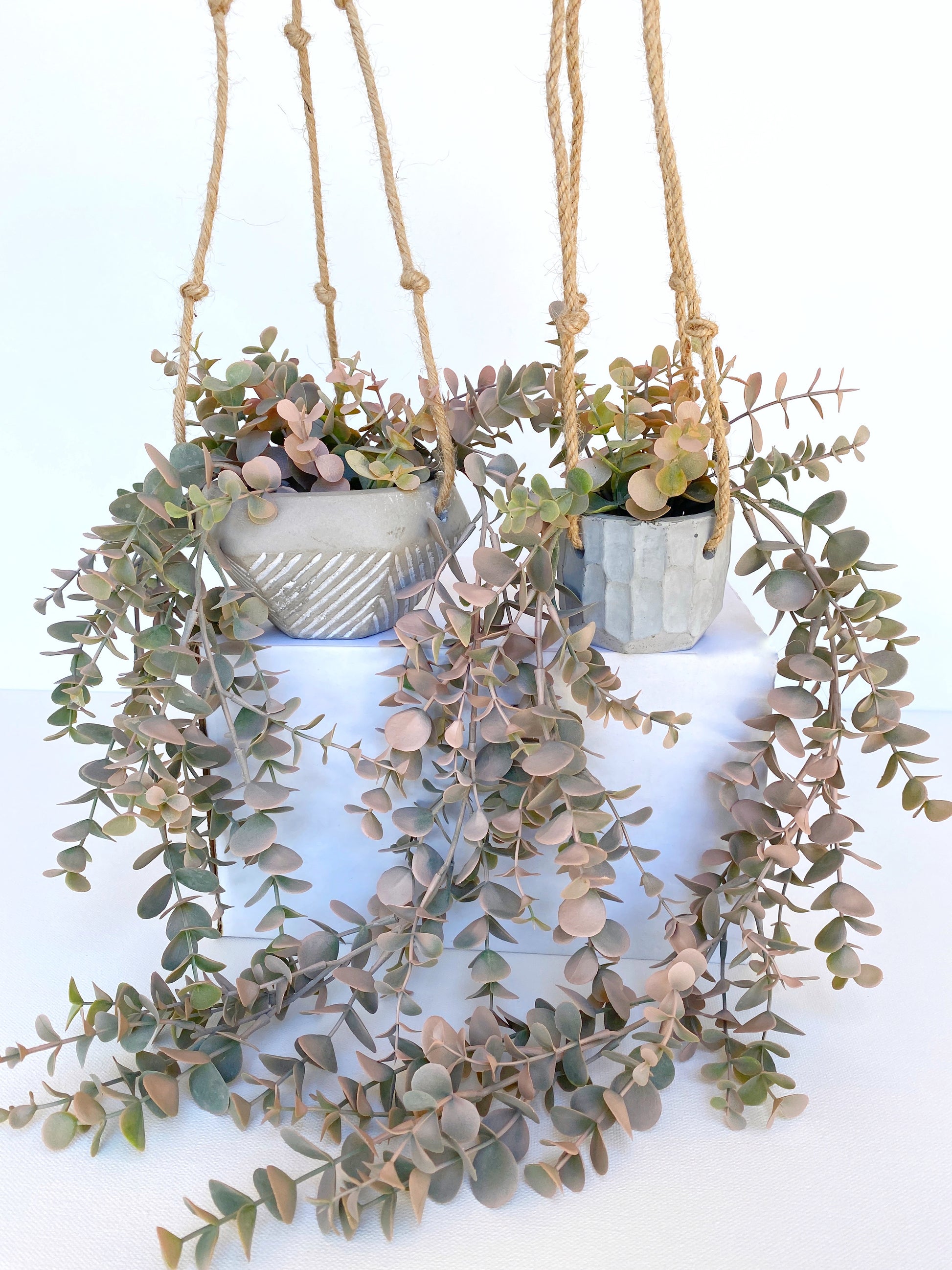 fake hanging plant with pot NEW - Pink Eucalyptus Faux Hanging Plant in Handmade Concrete Pot