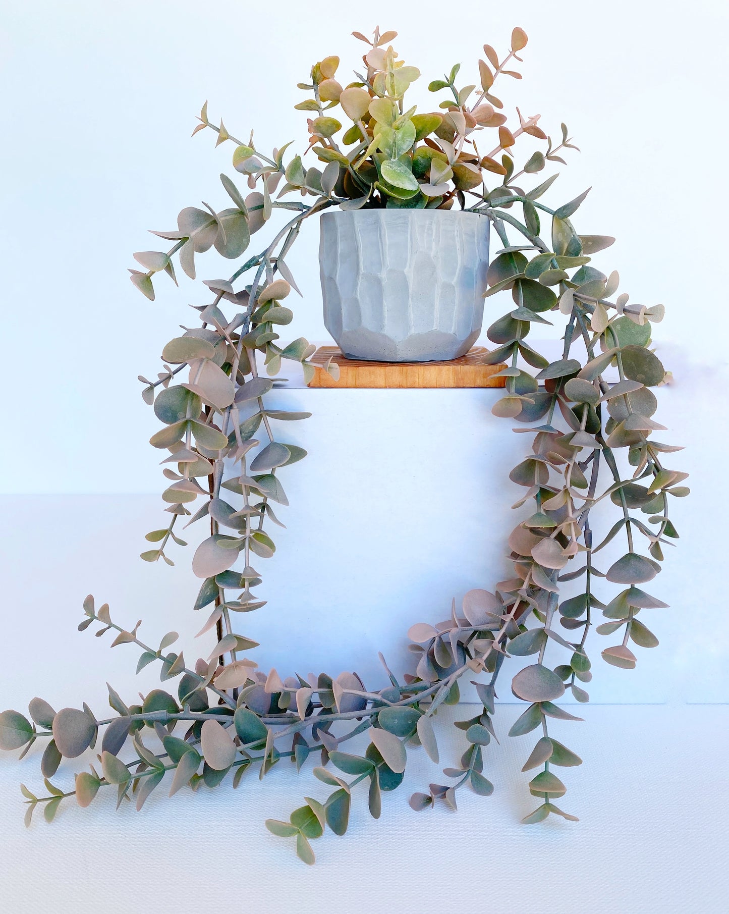 NEW - Pink Eucalyptus Faux Hanging Plant in Handmade Concrete Pot - with Jute Twine OR as Floating Shelve Decor