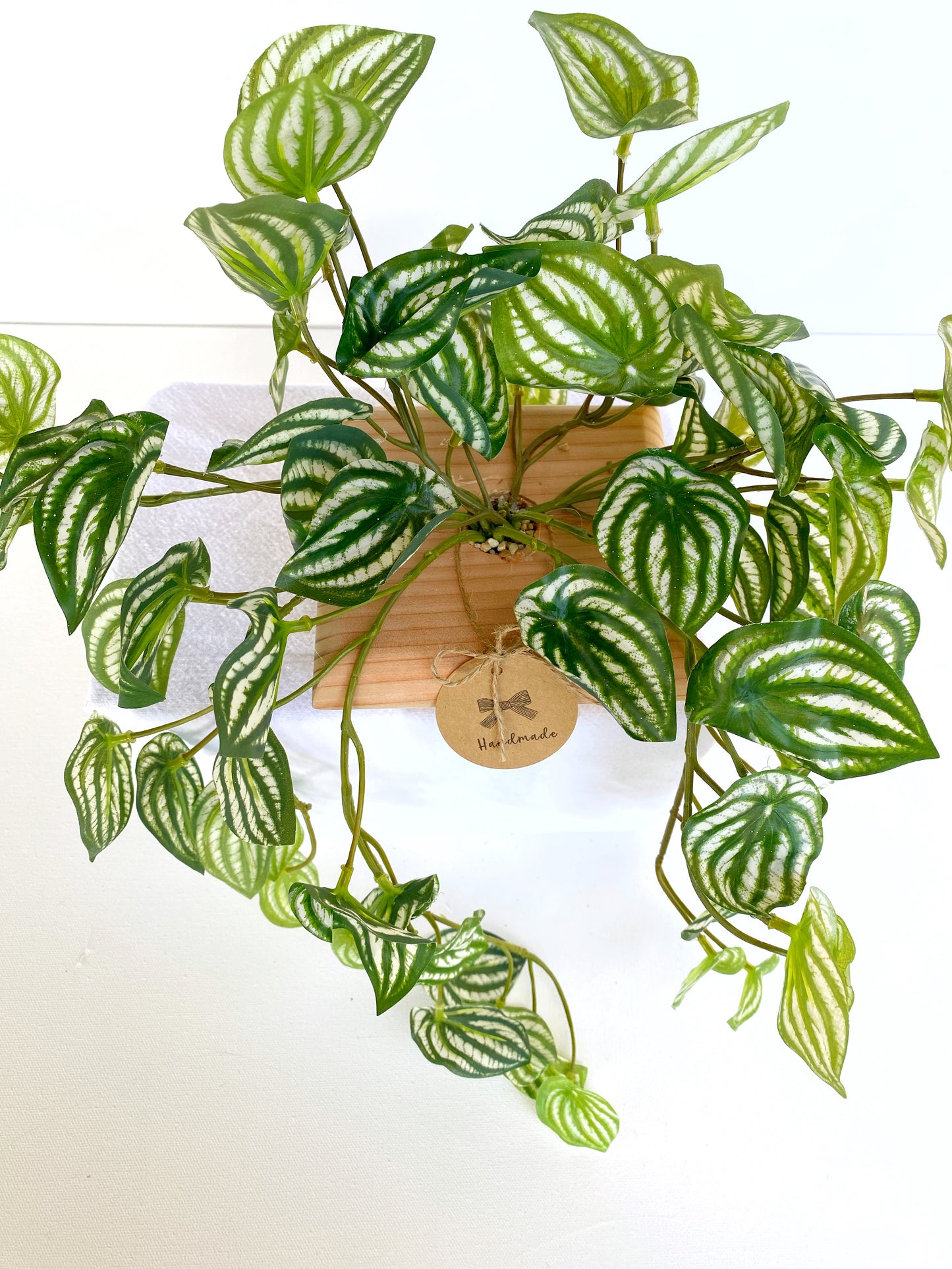 Faux Watermelon Peperomia Hanging Plant in Handmade Wood Pot