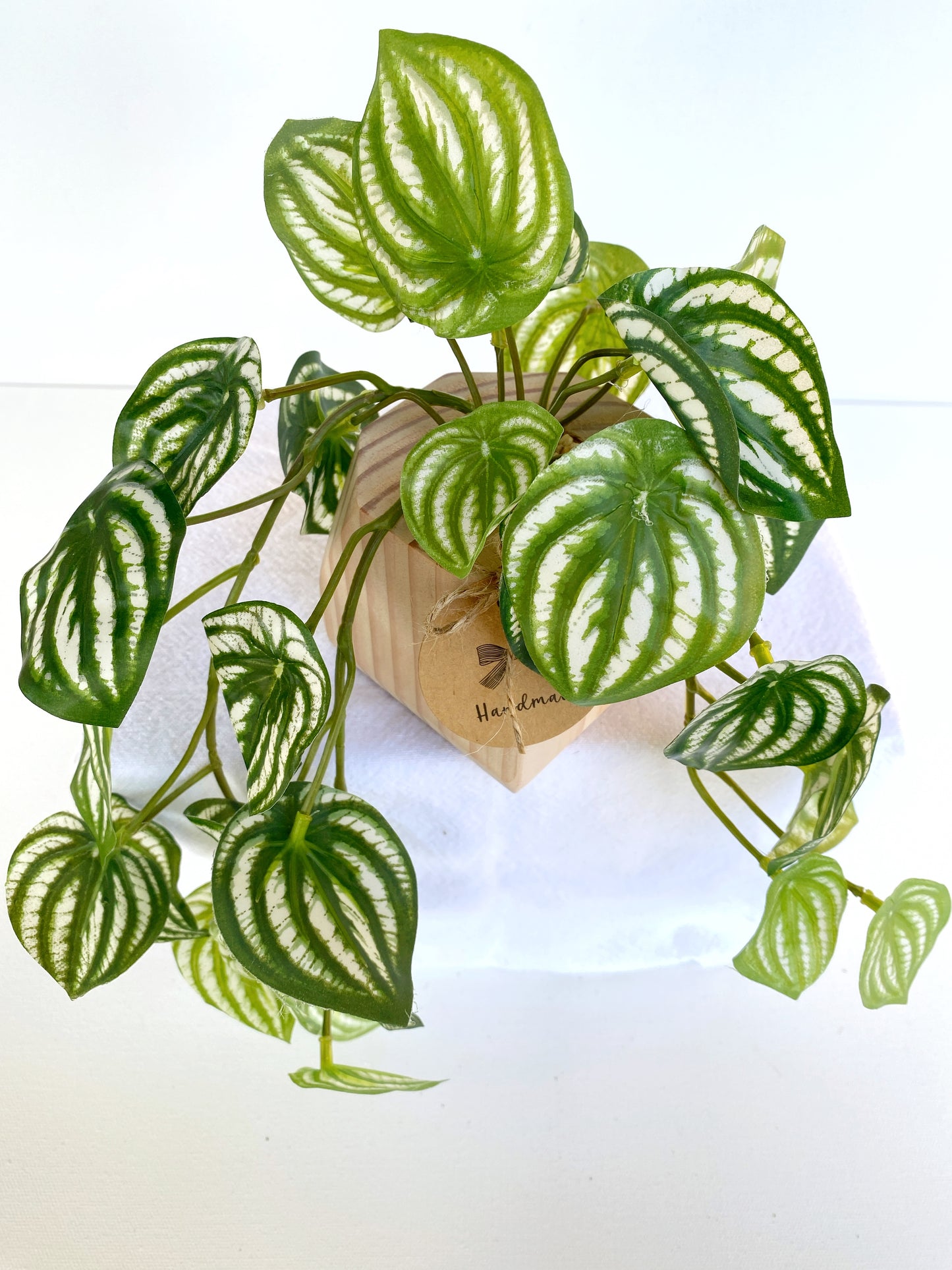 Faux Watermelon Peperomia Hanging Plant in Handmade Wood Pot