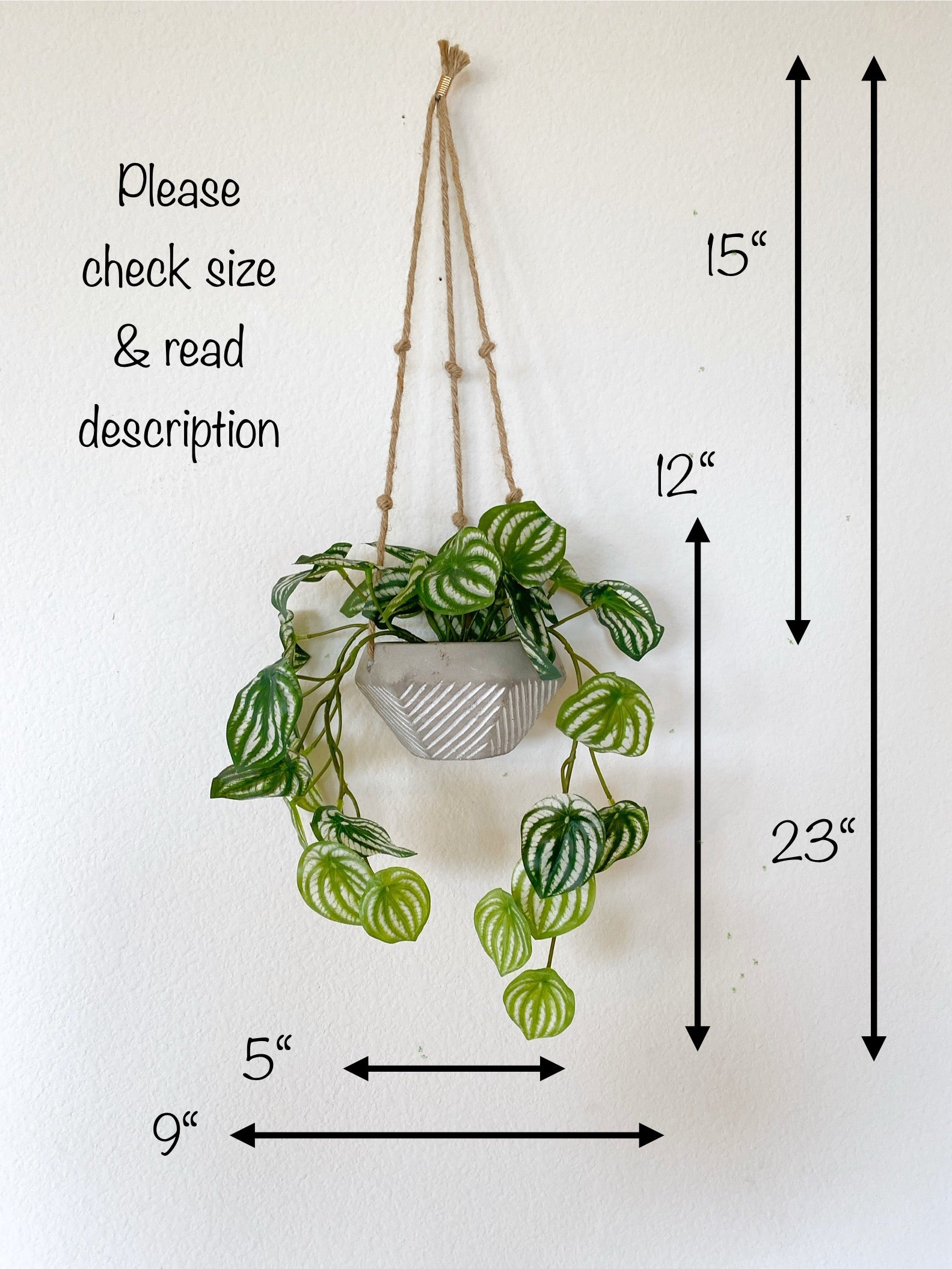 watermelon hanging plant Faux Watermelon Peperomia Hanging Plant in Handmade Concrete Pot with – Ursina's Deco Shop