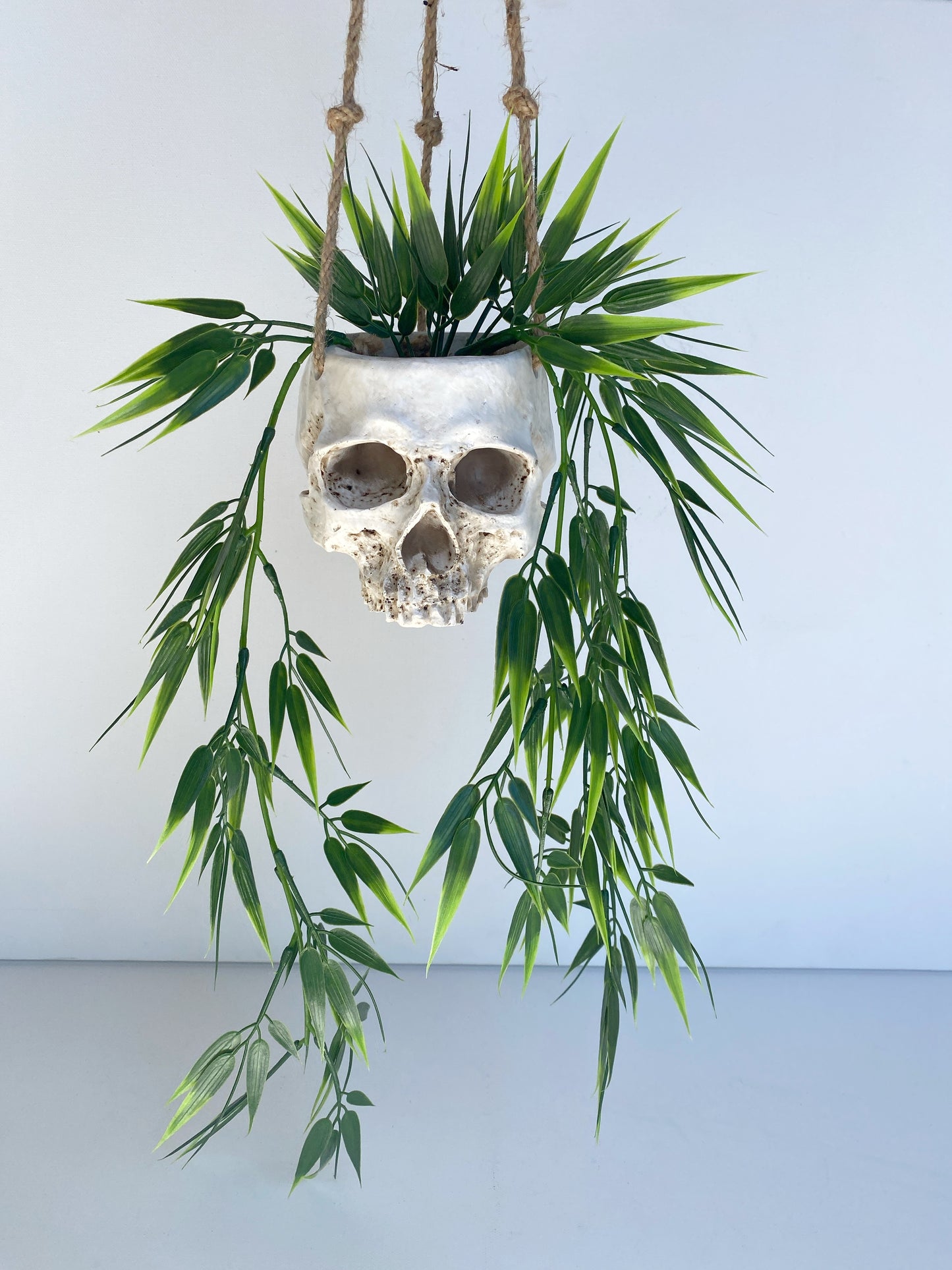 Skull Planter with Hanging Faux Plant - with Jute Twine or as Floating Shelve Decor