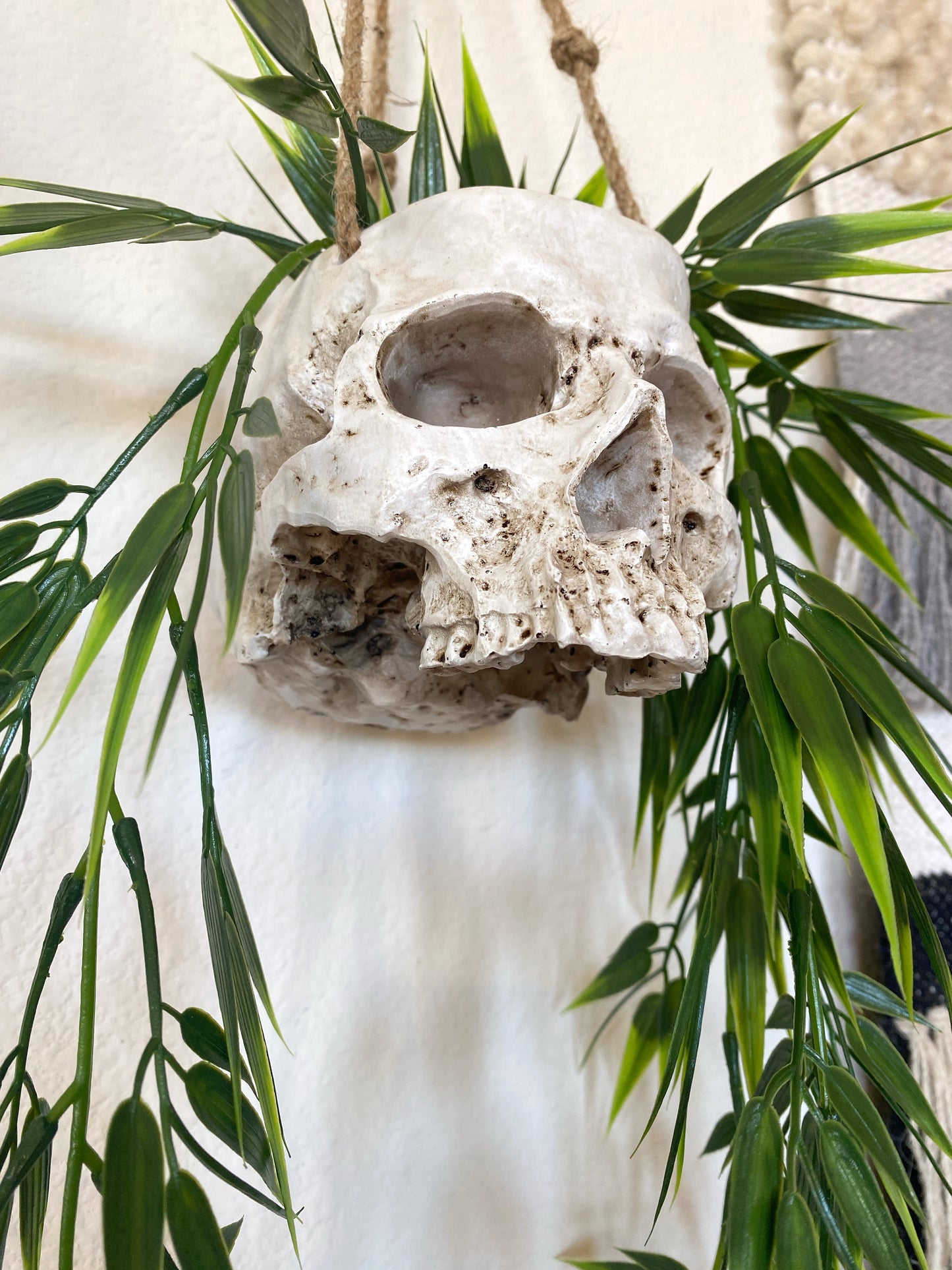 Skull Planter with Hanging Faux Plant - with Jute Twine or as Floating Shelve Decor