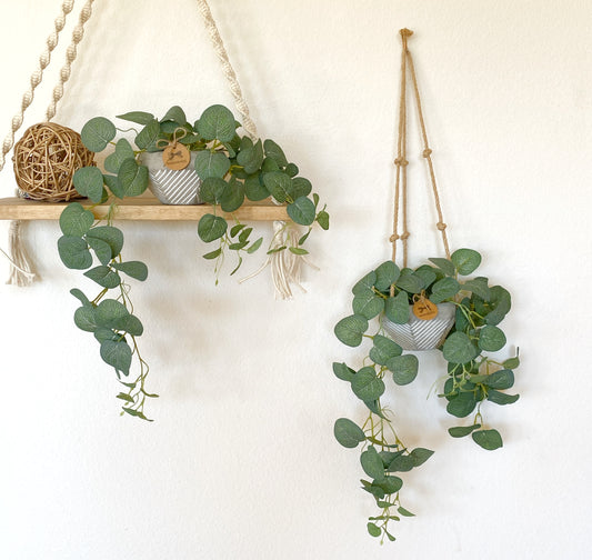 Silk Eucalyptus Hanging Plant in Textured Concrete Pot with Jute Twine or as Floating Shelf Decor Plant