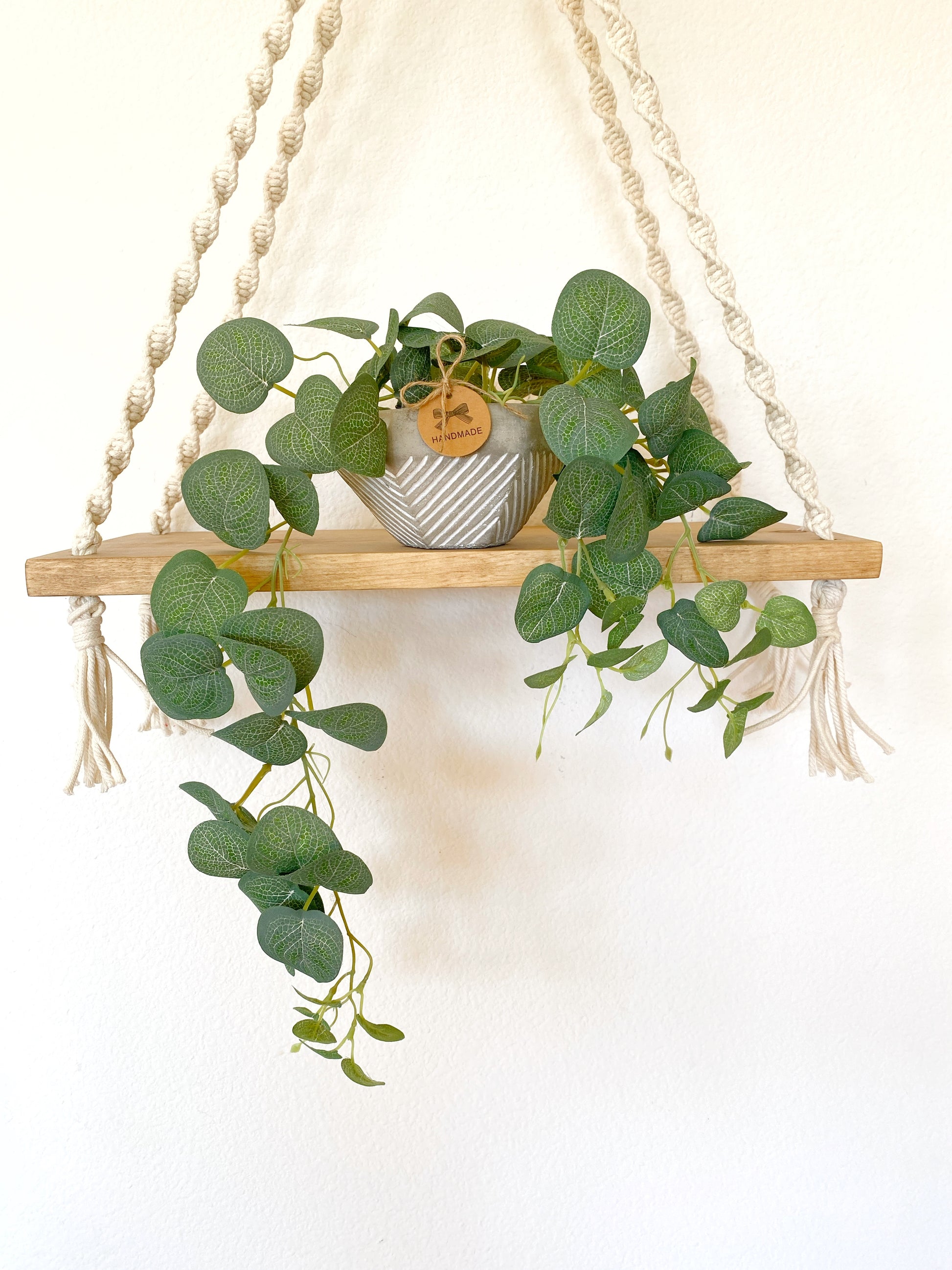 hanging plants on concrete wall Silk Eucalyptus Hanging Plant in Textured Concrete Pot with Jute Twine – Ursina's Deco Shop