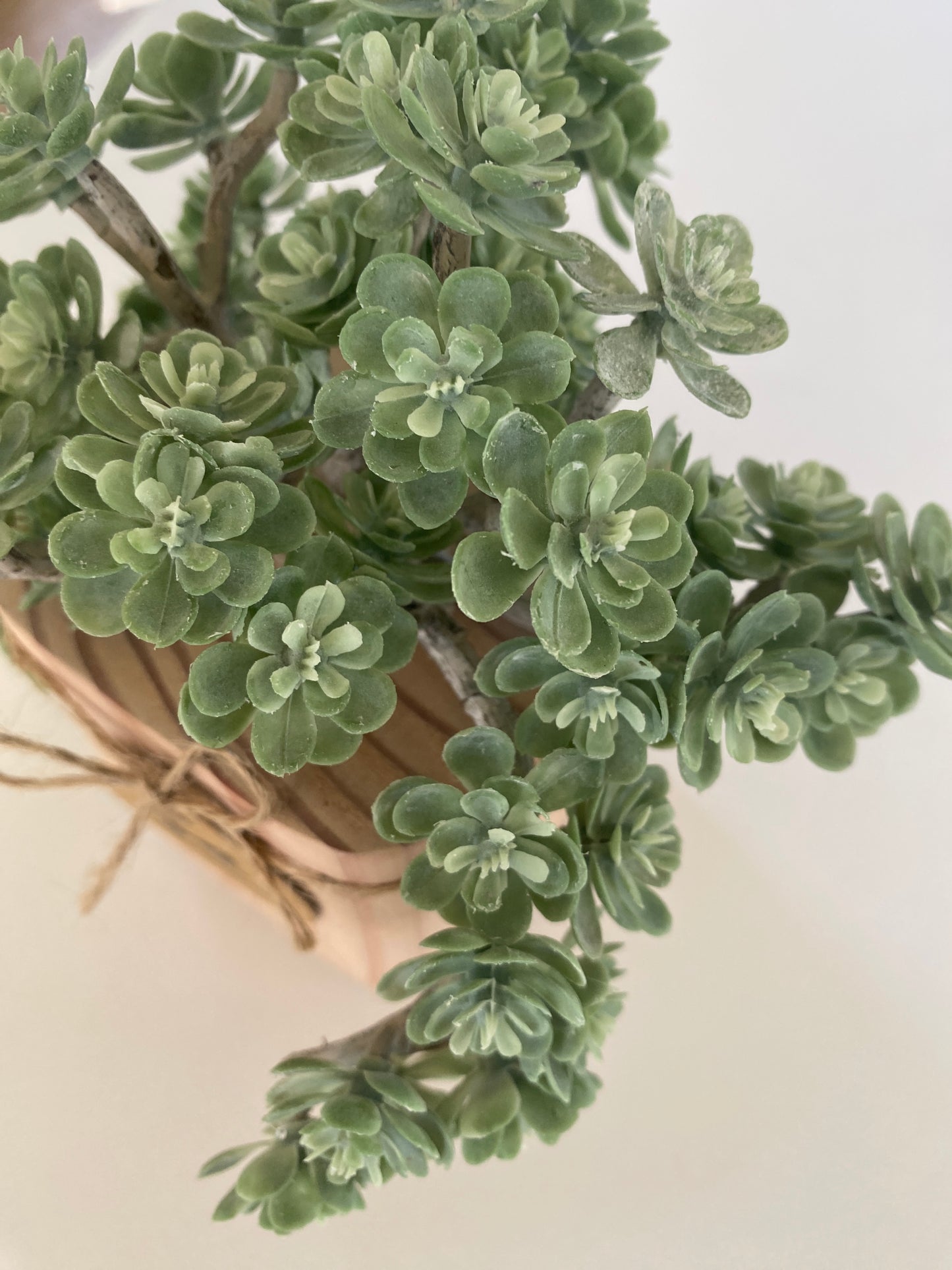 Succulent Plant in handmade Wood Pot - Korean succulent plant artificial - faux succulents - sedum spray