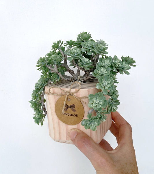 Succulent Plant in handmade Wood Pot - Korean succulent plant artificial - faux succulents - sedum spray