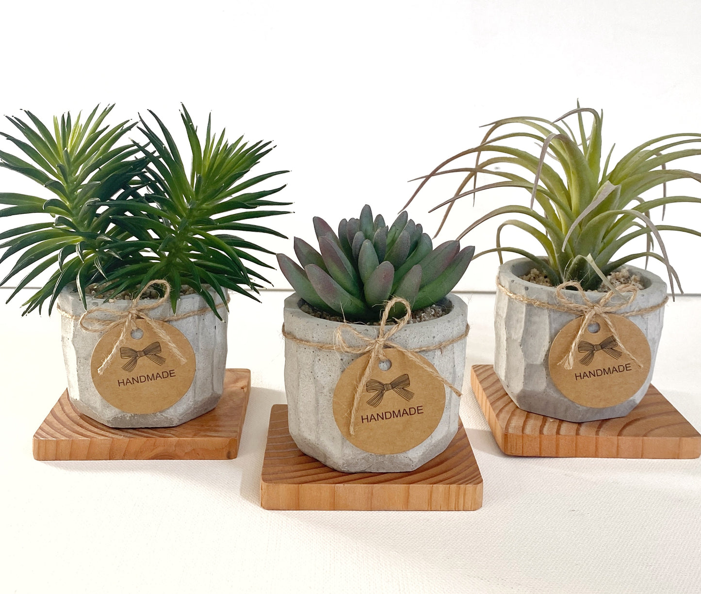 Faux Succulents in handmade Concrete Pot with Wood Tray - Air Plant, Ice Plant or Cactus Pine, High Quality Artificial Plants