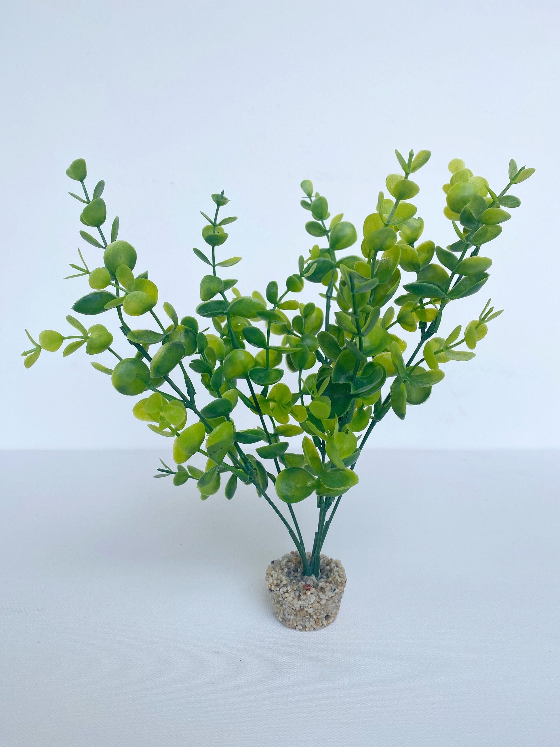 9" Eucalyptus Bush Freshwater Aquarium Plant with Stone Base, Fish Tank Natural Lifelike Aquascape Décor, Artificial Aquarium Plastic Plant