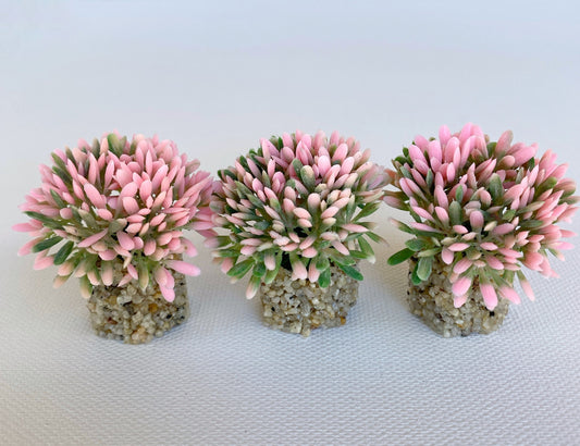 Mini Allium Freshwater Aquarium Plant Pink -  3 Pack with Stone Base, Aquascape Decor, Artificial Aquarium Plastic Plant