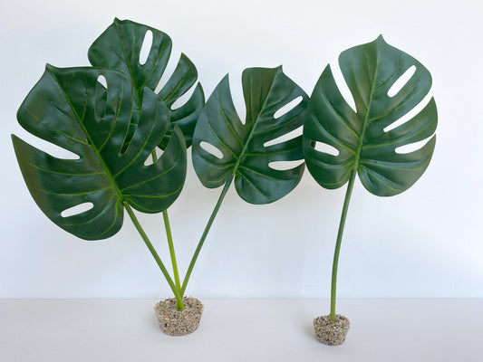 Monstera Leaves Freshwater Aquarium Plant with Stone Base, Fish Tank Natural Lifelike Aquascape Décor, Artificial Aquarium Plastic Plant