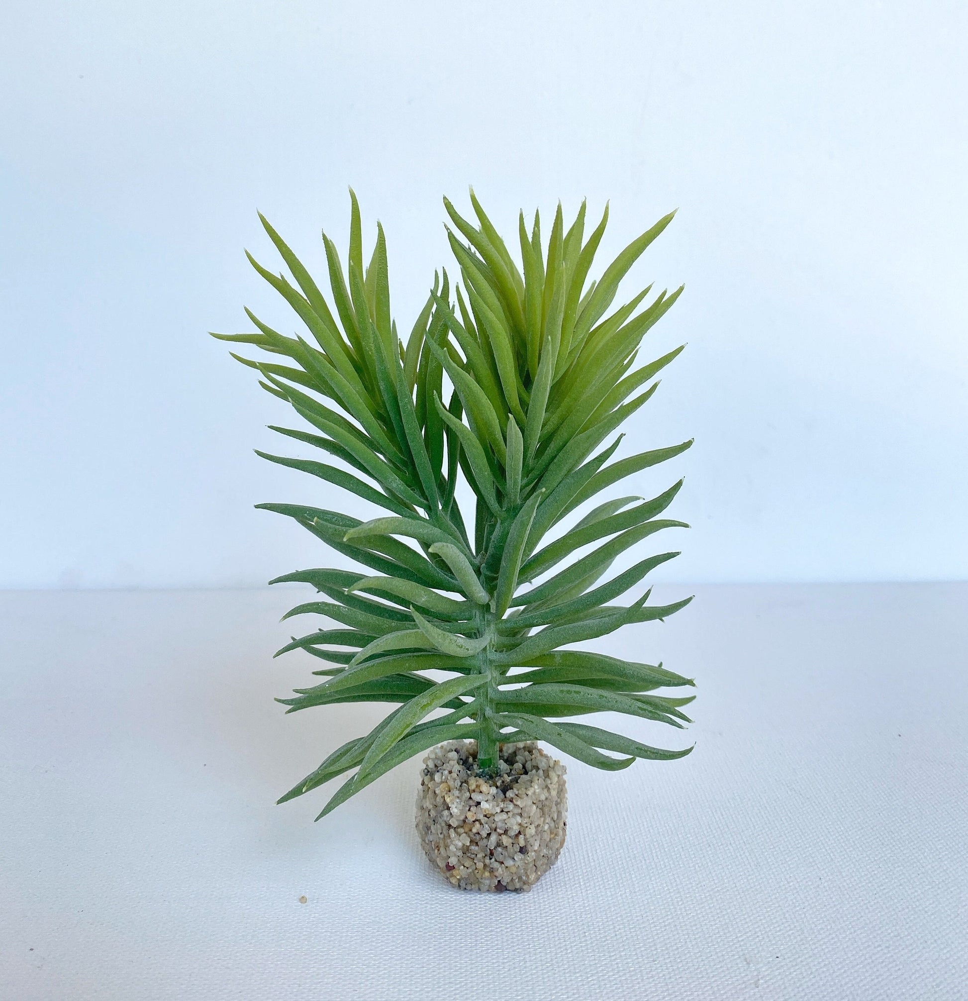 5.5" Senecio Freshwater Aquarium Plant with Stone Base, Fish Tank Lifelike Aquascape Decor, Artificial Aquarium Plastic Plant