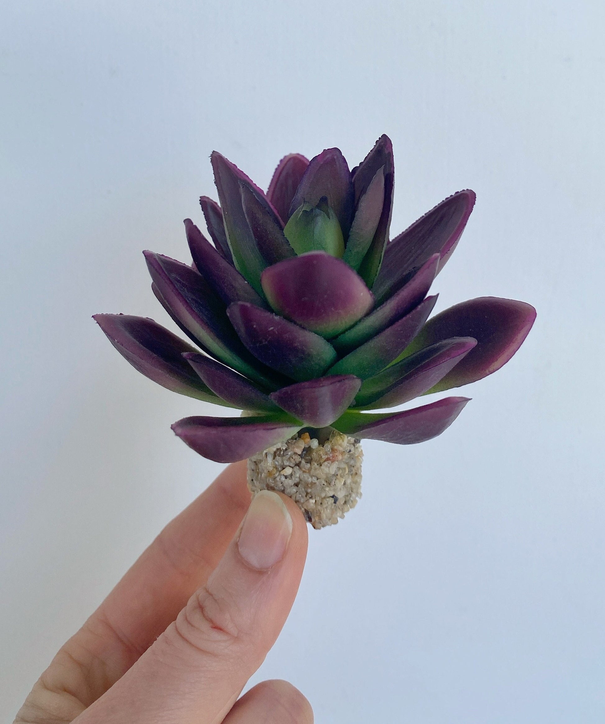 Agave Freshwater Aquarium Plant with Stone Base Purple, Fish Tank Lifelike Aquascape Decor, Artificial Aquarium Plastic Plant