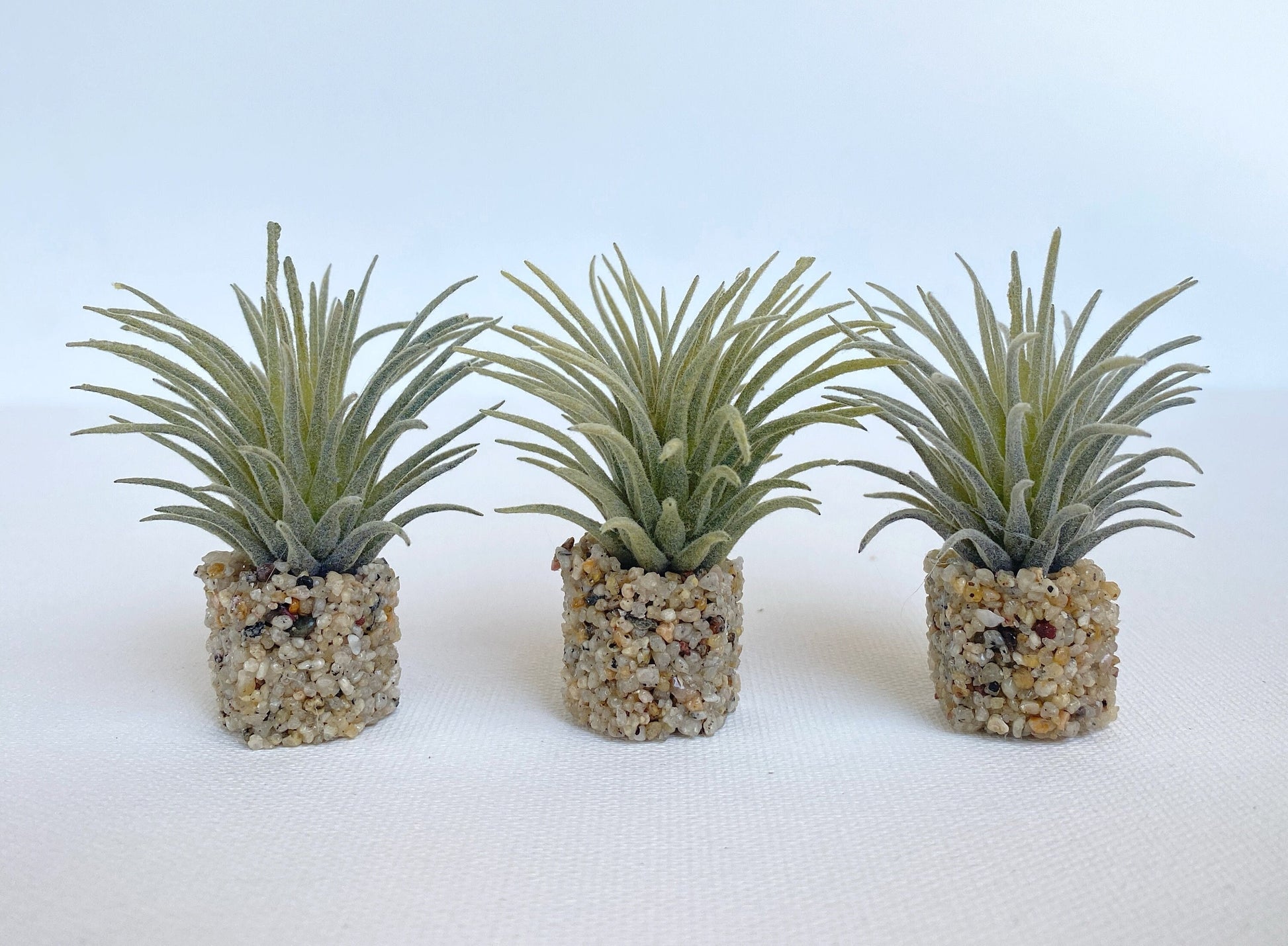 Mini Airplant (Tillan) Freshwater Aquarium Plant, 3 Pack with Stone Base, Aquascape Decor, Artificial Aquarium Plastic Plant