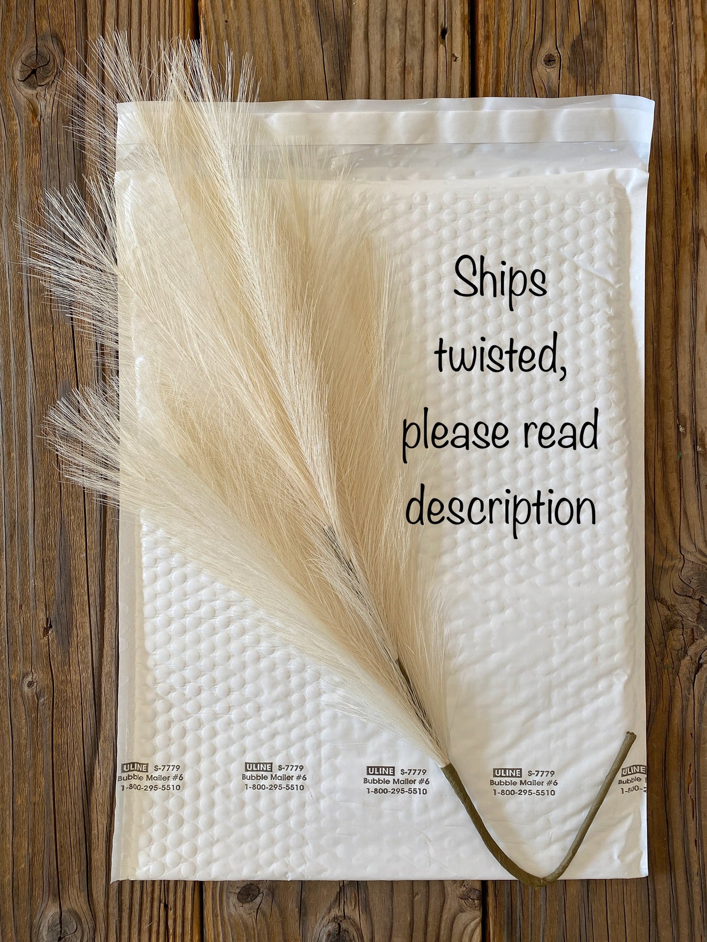 Artificial Pampas Grass Stem 28" - Cream