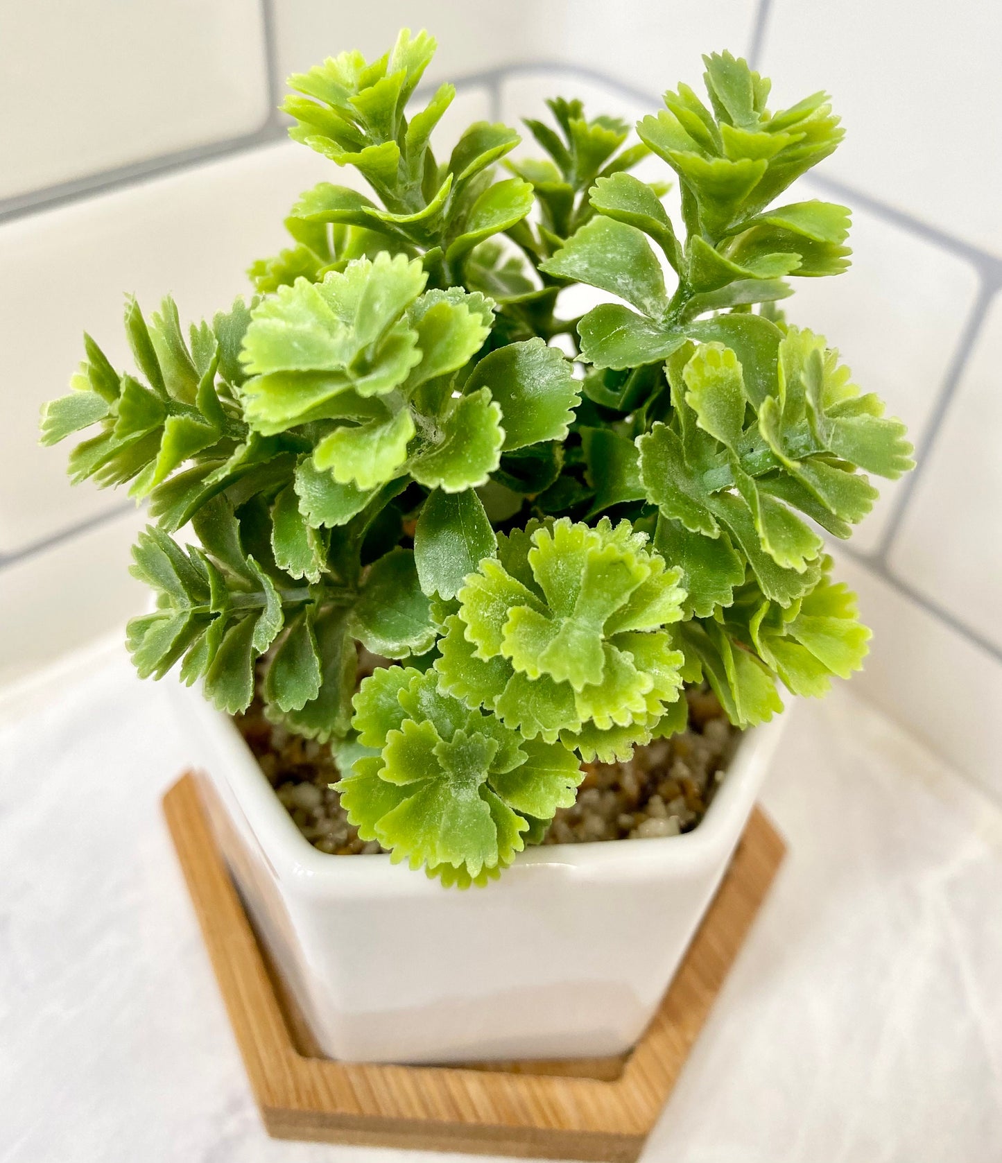 3 x Small Artificial Plant in white Hexagon Pot with Bamboo Tray