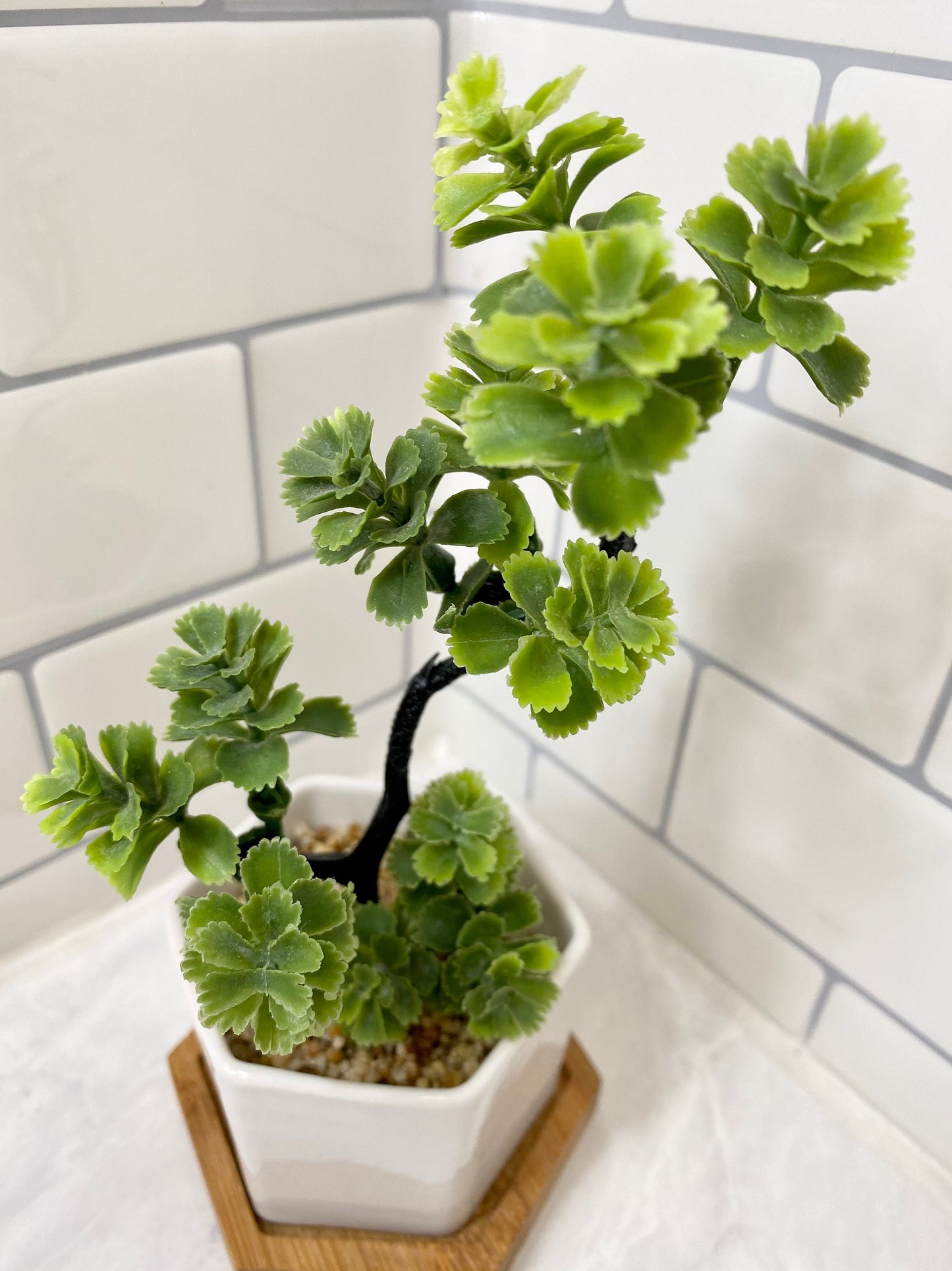 3 x Small Artificial Plant in white Hexagon Pot with Bamboo Tray