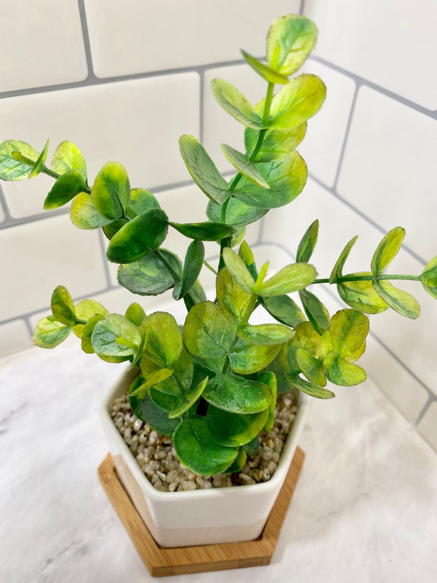 Small Artificial Eucalyptus Plant in Hexagon Pot with Bamboo Tray