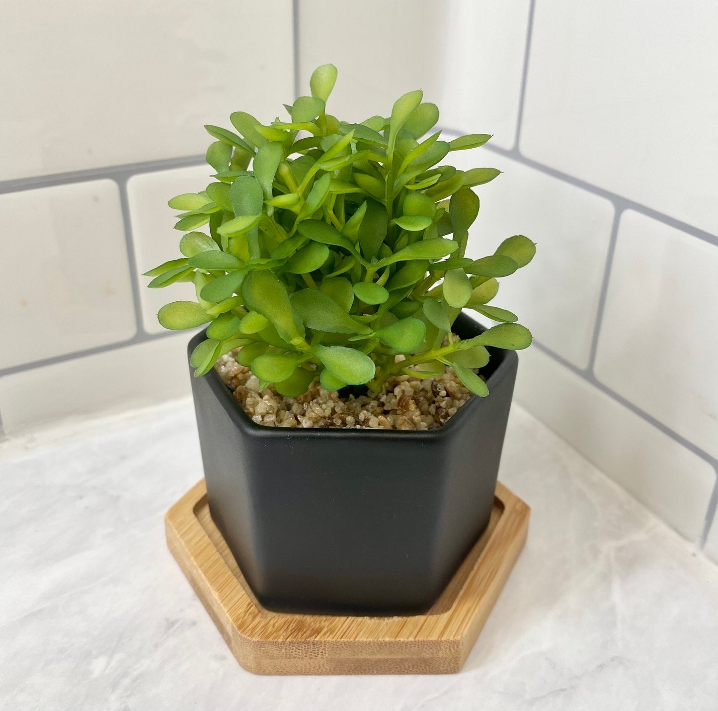 Small Artificial Plant in white, black or grey Hexagon Pot with Bamboo Tray