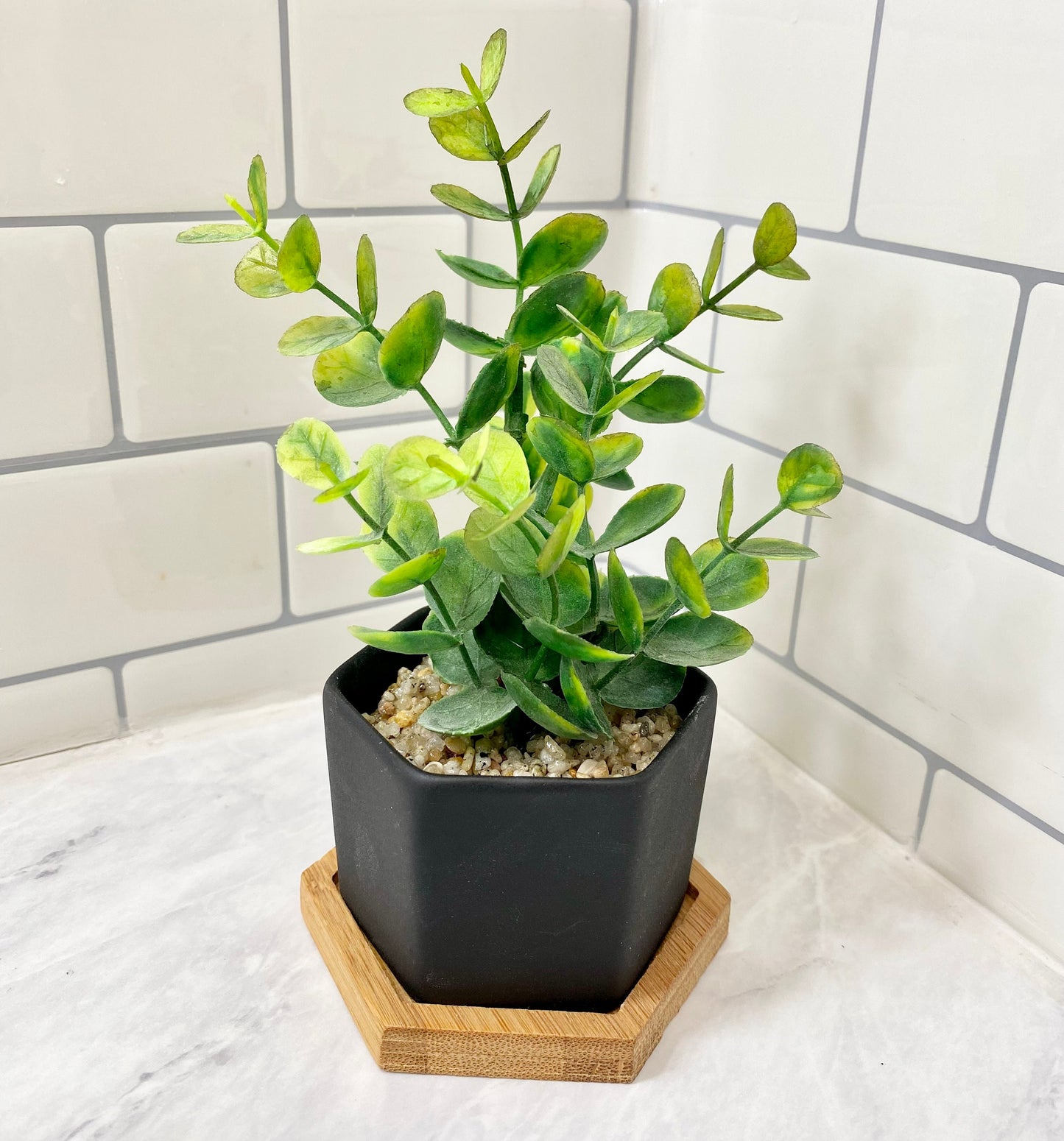 Small Artificial Eucalyptus Plant in Hexagon Pot with Bamboo Tray