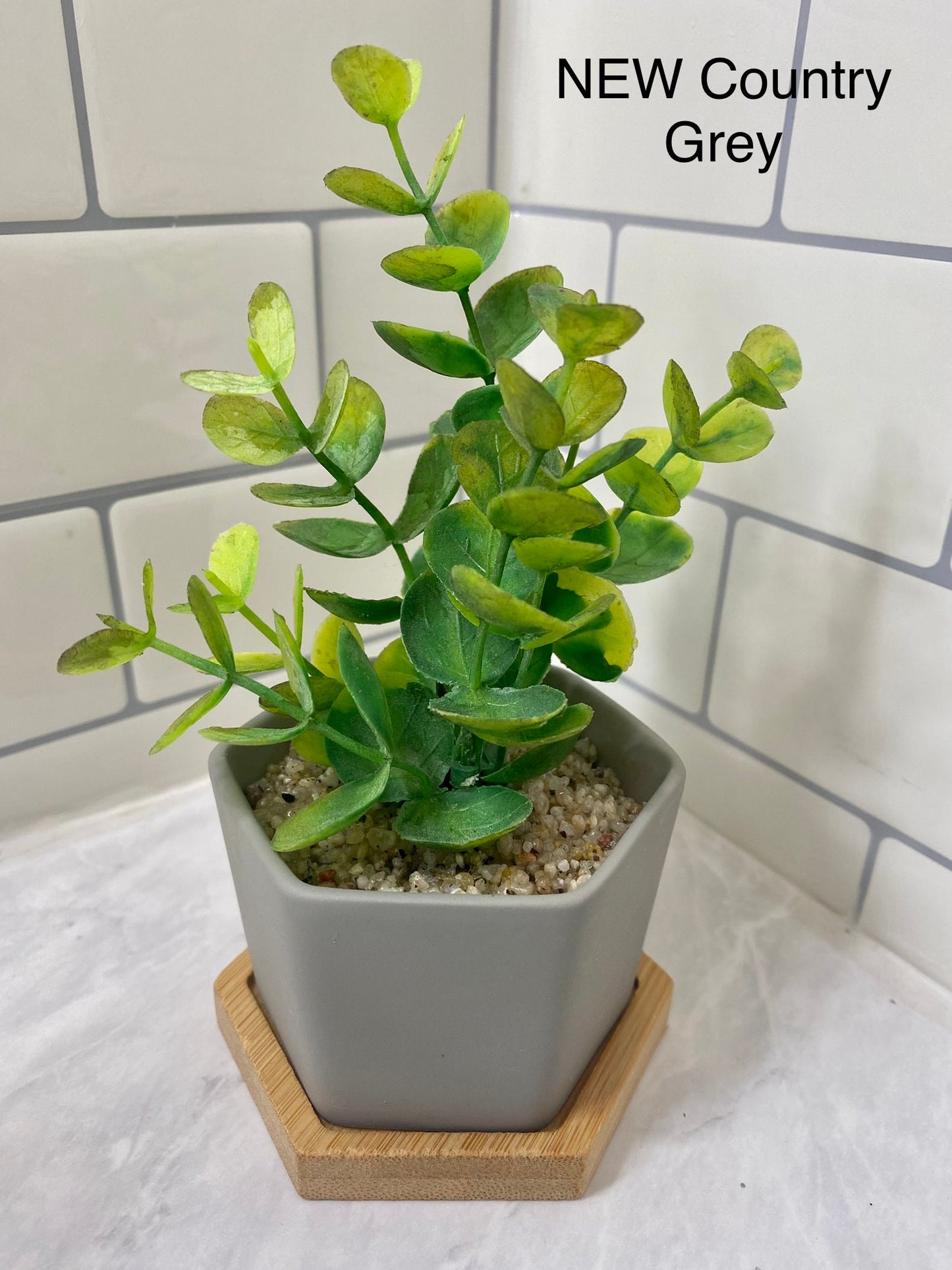 Small Artificial Eucalyptus Plant in Hexagon Pot with Bamboo Tray