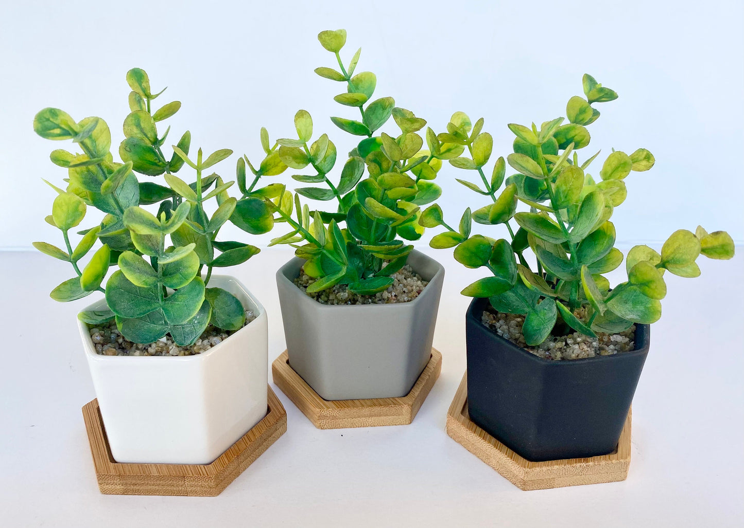 Small Artificial Eucalyptus Plant in Hexagon Pot with Bamboo Tray