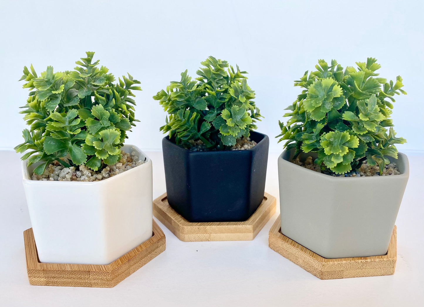 Small Artificial Plant in white, black or grey Hexagon Pot with Bamboo Tray