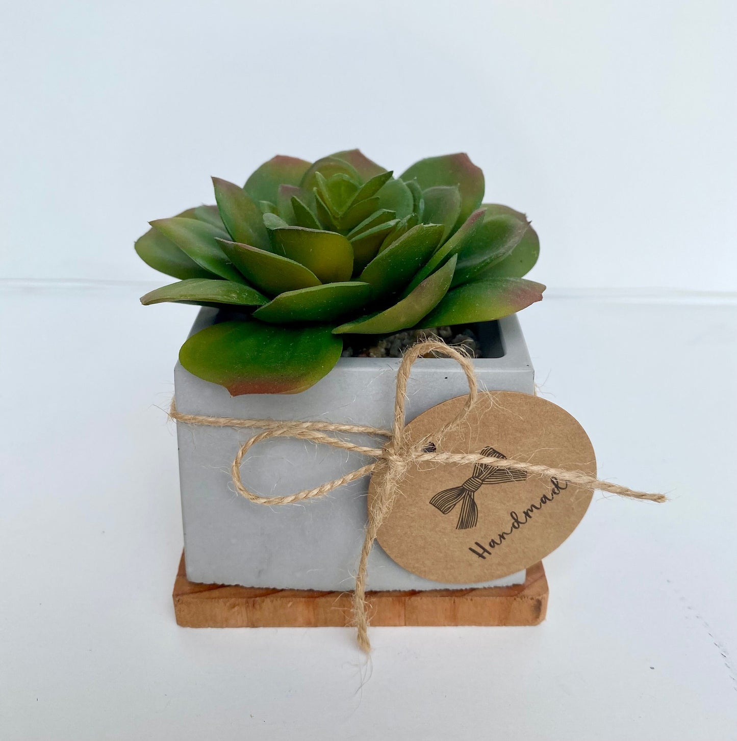 Artificial Succulent Plant in handmade Concrete Pot with Wood Tray - Fake Plant - Floating Shelve Decor