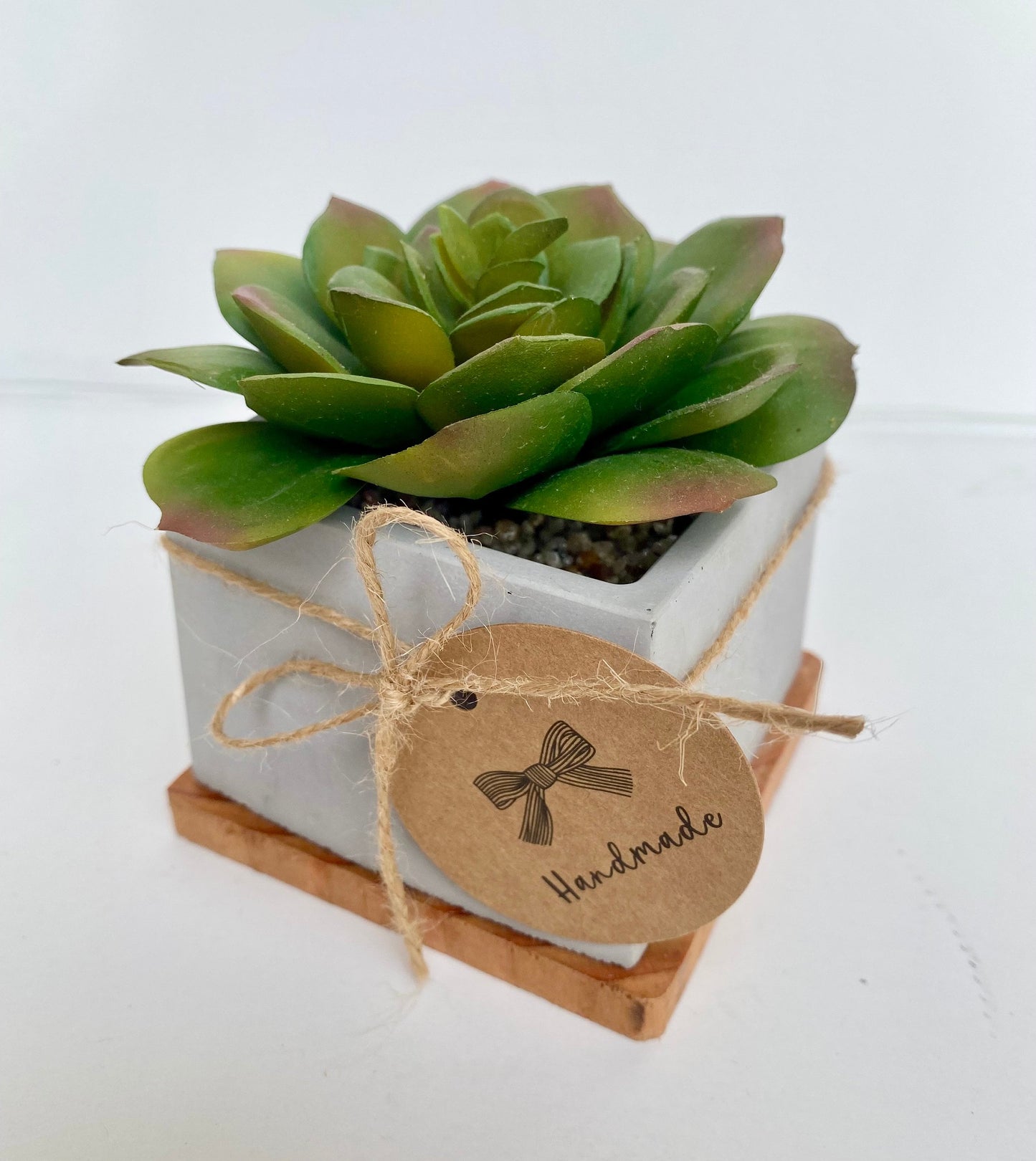 Artificial Succulent Plant in handmade Concrete Pot with Wood Tray - Fake Plant - Floating Shelve Decor