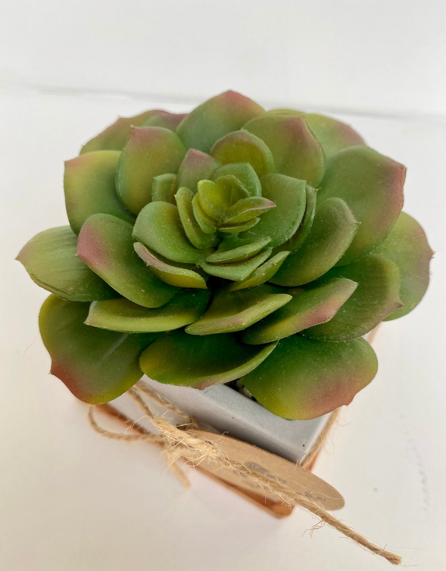 Artificial Succulent Plant in handmade Concrete Pot with Wood Tray - Fake Plant - Floating Shelve Decor