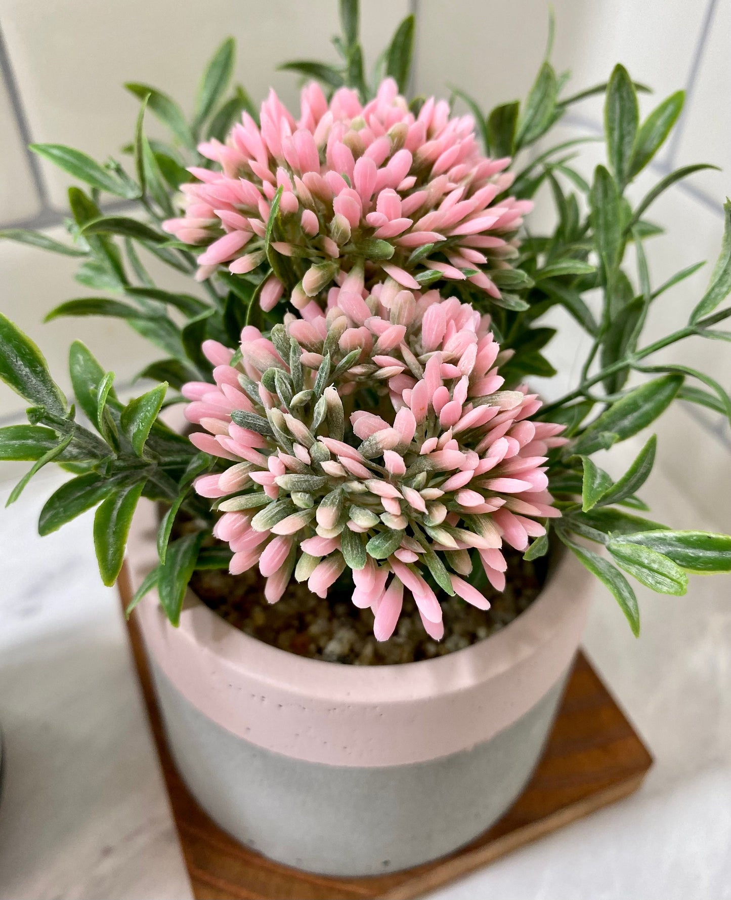 Artificial Pink Allium Flower Bulbs in Handmade Concrete Pot with Wood Tray