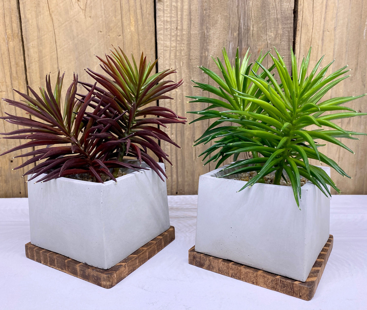 Artificial Succulent Plant in handmade Concrete Pot with Wood Tray - Burgundy Red or Green