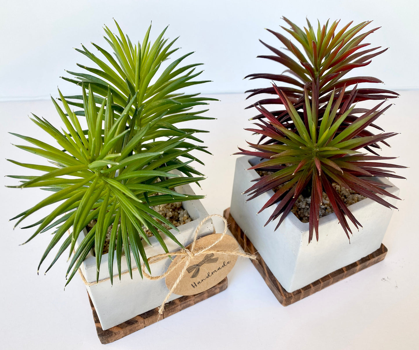 Artificial Succulent Plant in handmade Concrete Pot with Wood Tray - Burgundy Red or Green