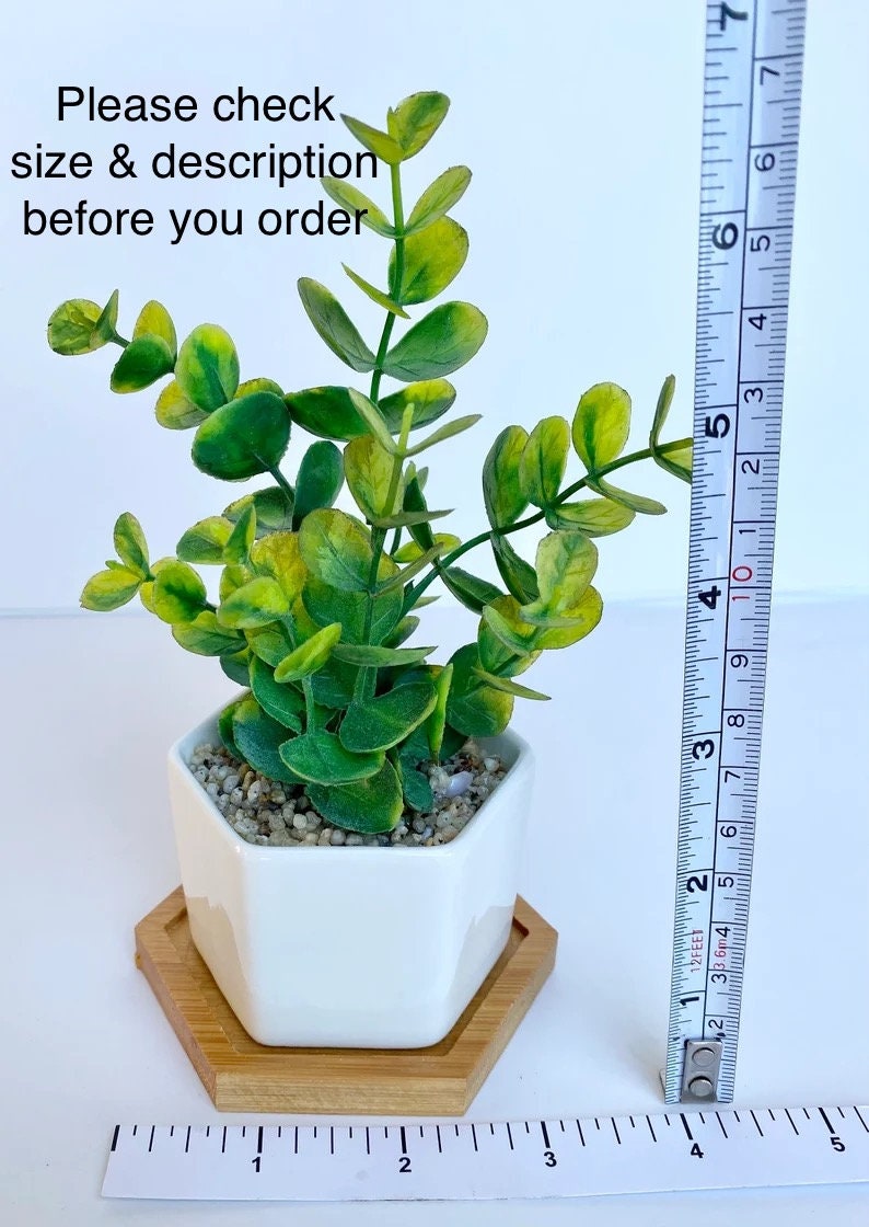 Small Artificial Eucalyptus Plant in Hexagon Pot with Bamboo Tray