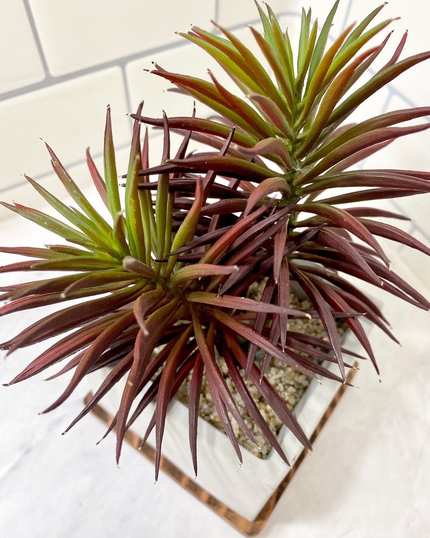 Artificial Succulent Plant in handmade Concrete Pot with Wood Tray - Burgundy Red or Green
