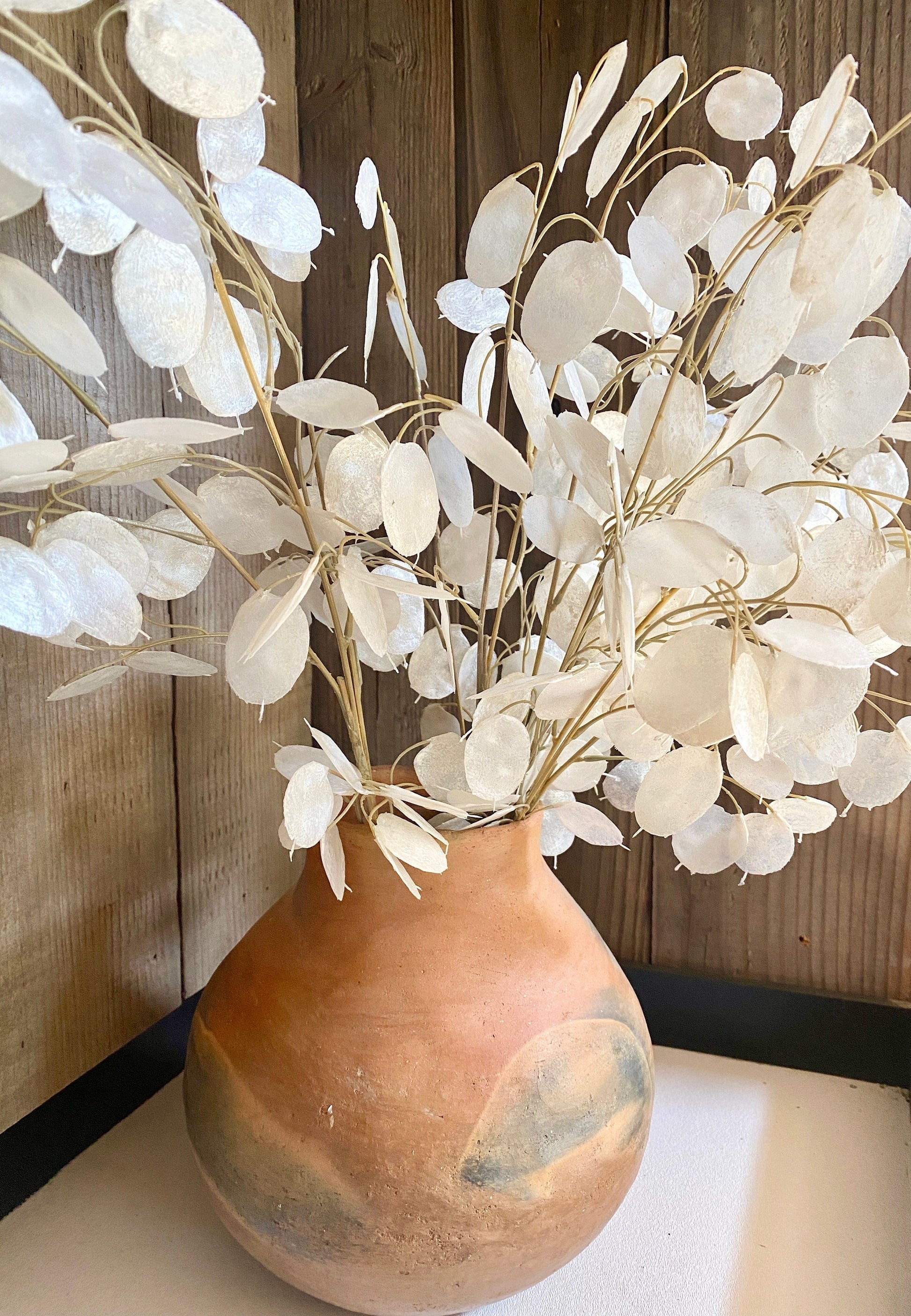 dried money plant branches Artificial Silver Dollar Spray Eucalyptus Stem 30" – Ursina's Deco Shop