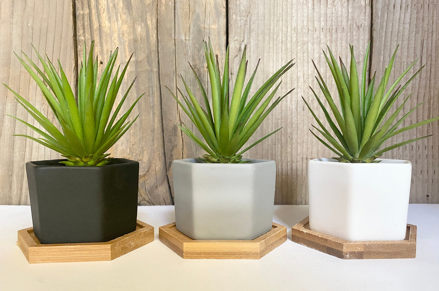 Small Artificial Succulent Plant in Hexagon Pot with Bamboo Tray