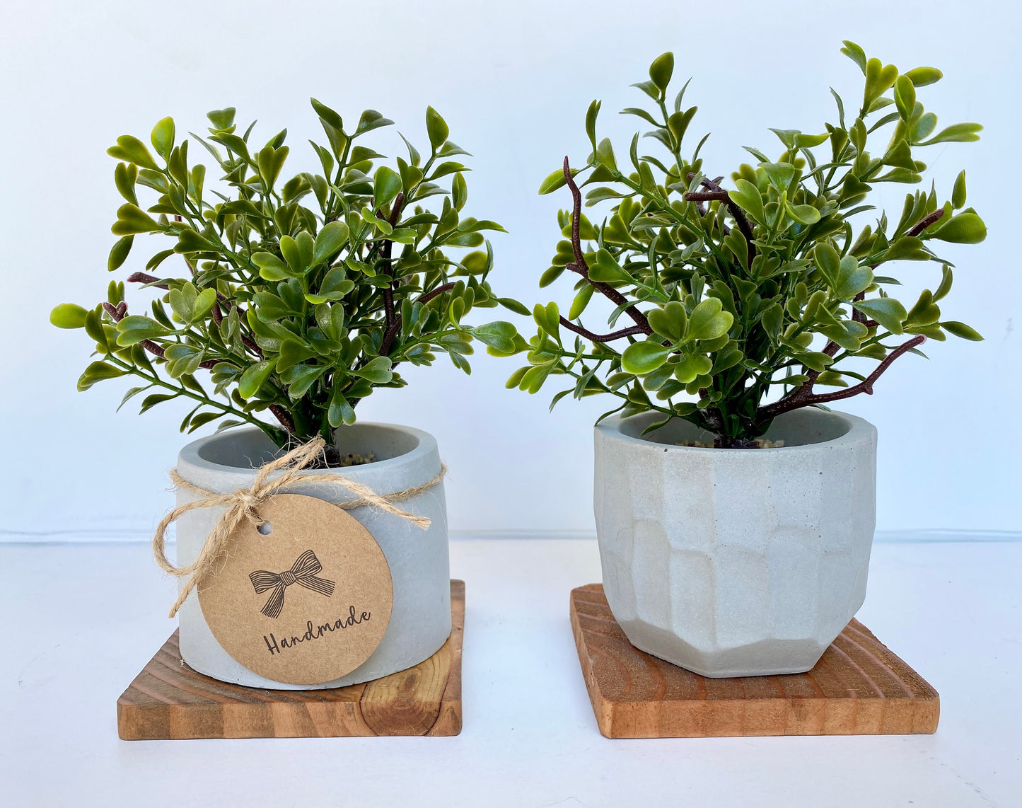 Artificial Mini Tree in handmade Concrete Pot with Wood Tray