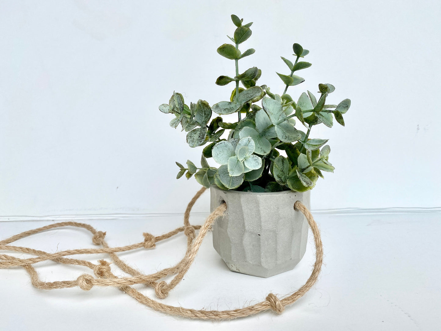 Hanging Faux Eucalyptus Plant in Handmade Concrete Pot